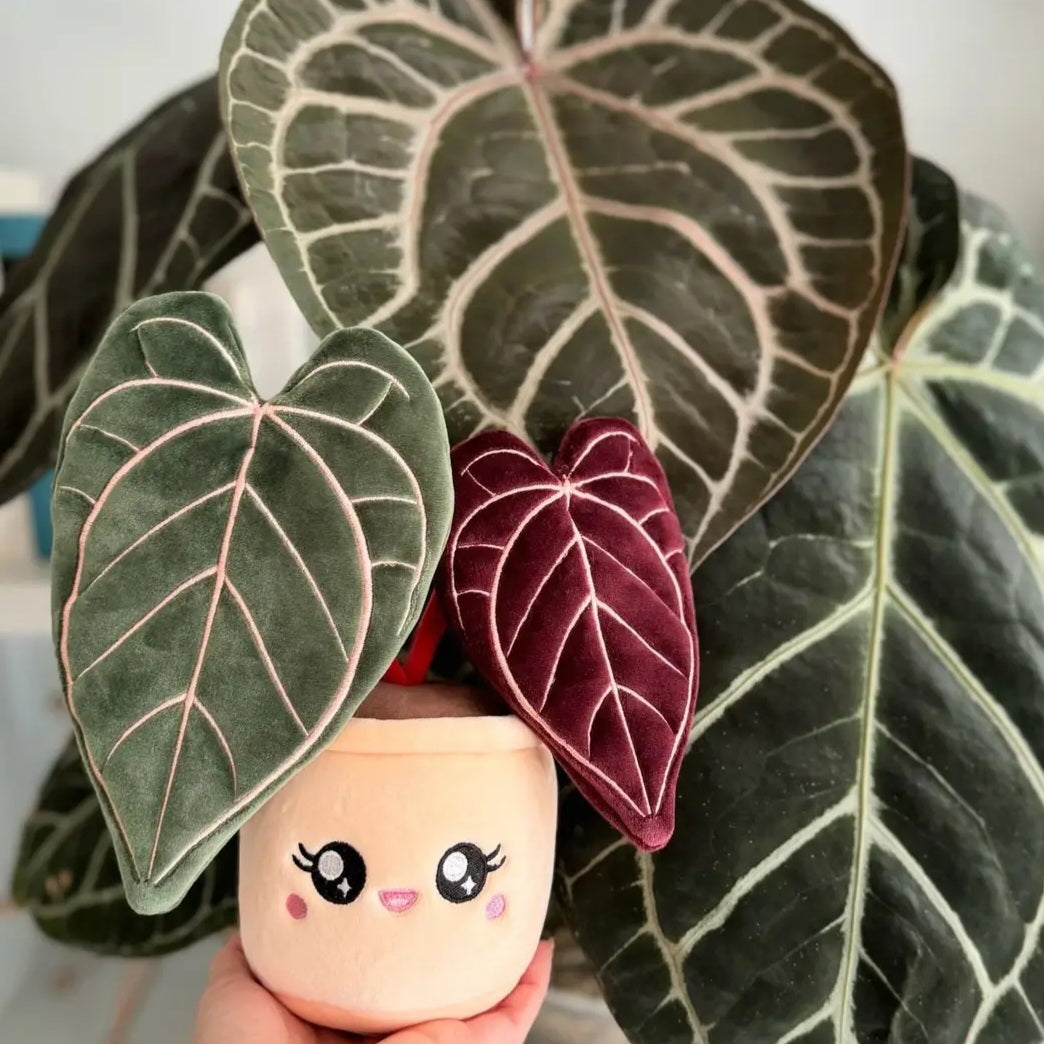 MEDIUM Kawaii Anthurium Red Crystallinum Plushie