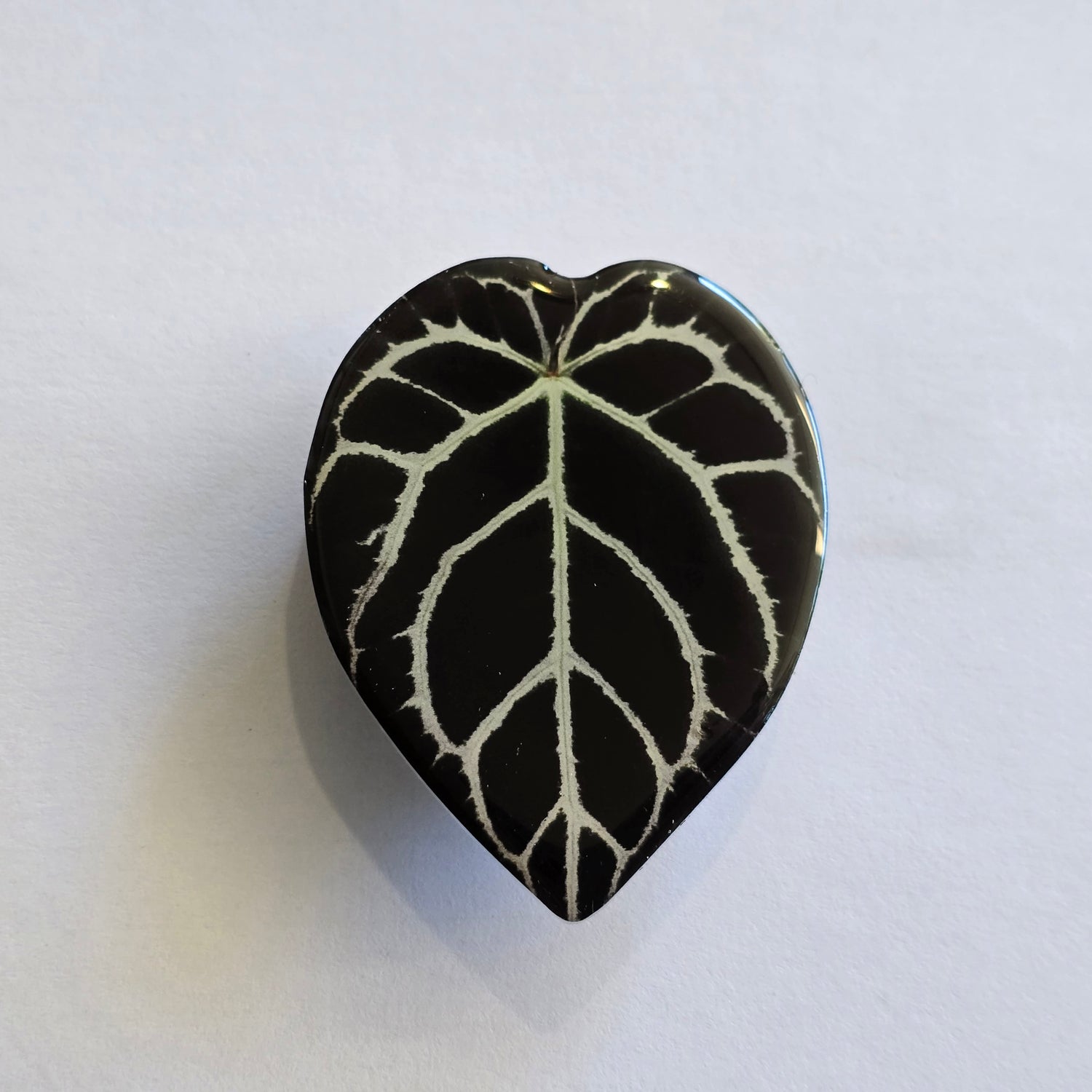 Anthurium Dark Leaf Houseplant Mobile Phone Grip