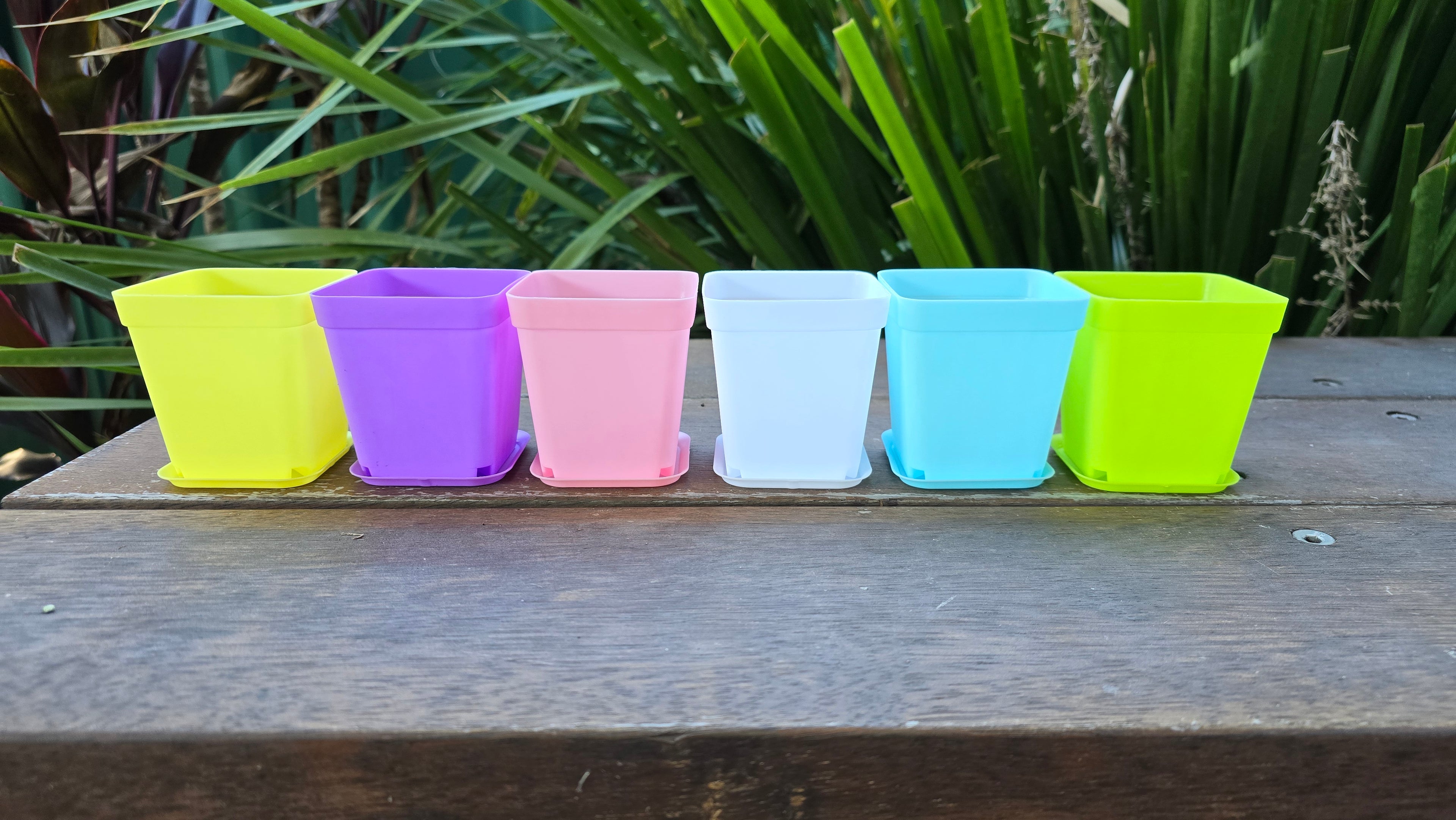 Coloured Plant Pots