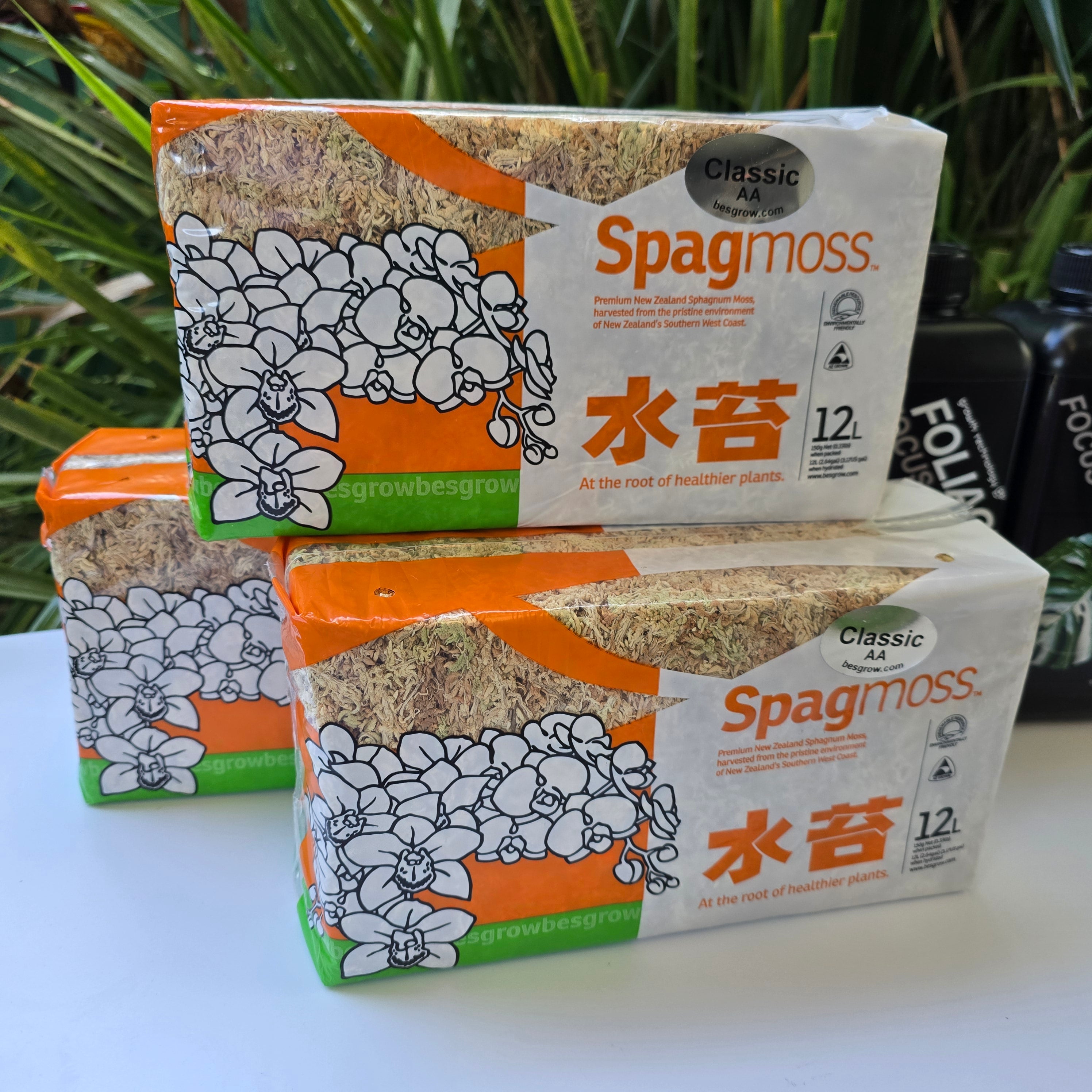 Sphagnum Moss