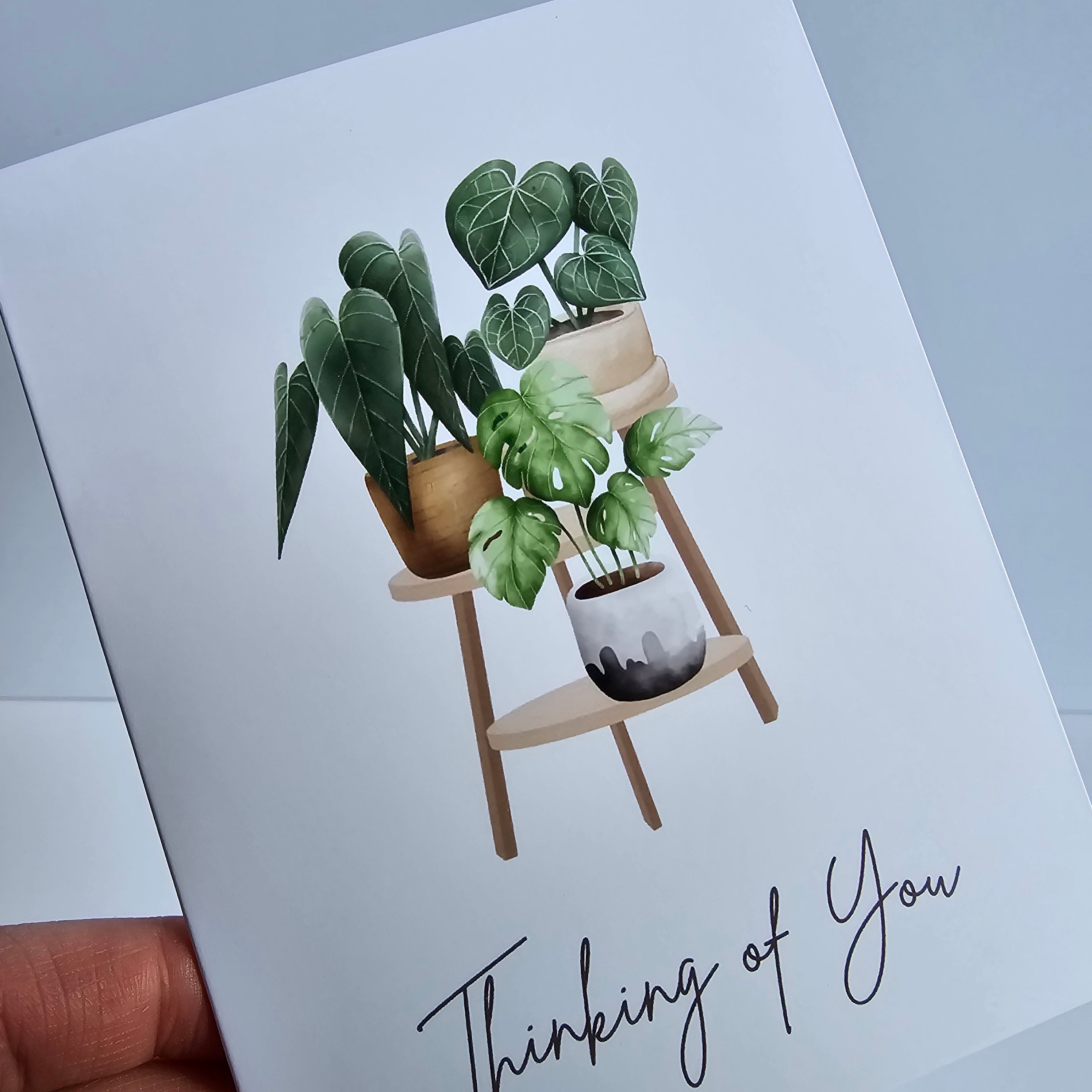 Thank you & Thinking of You Cards