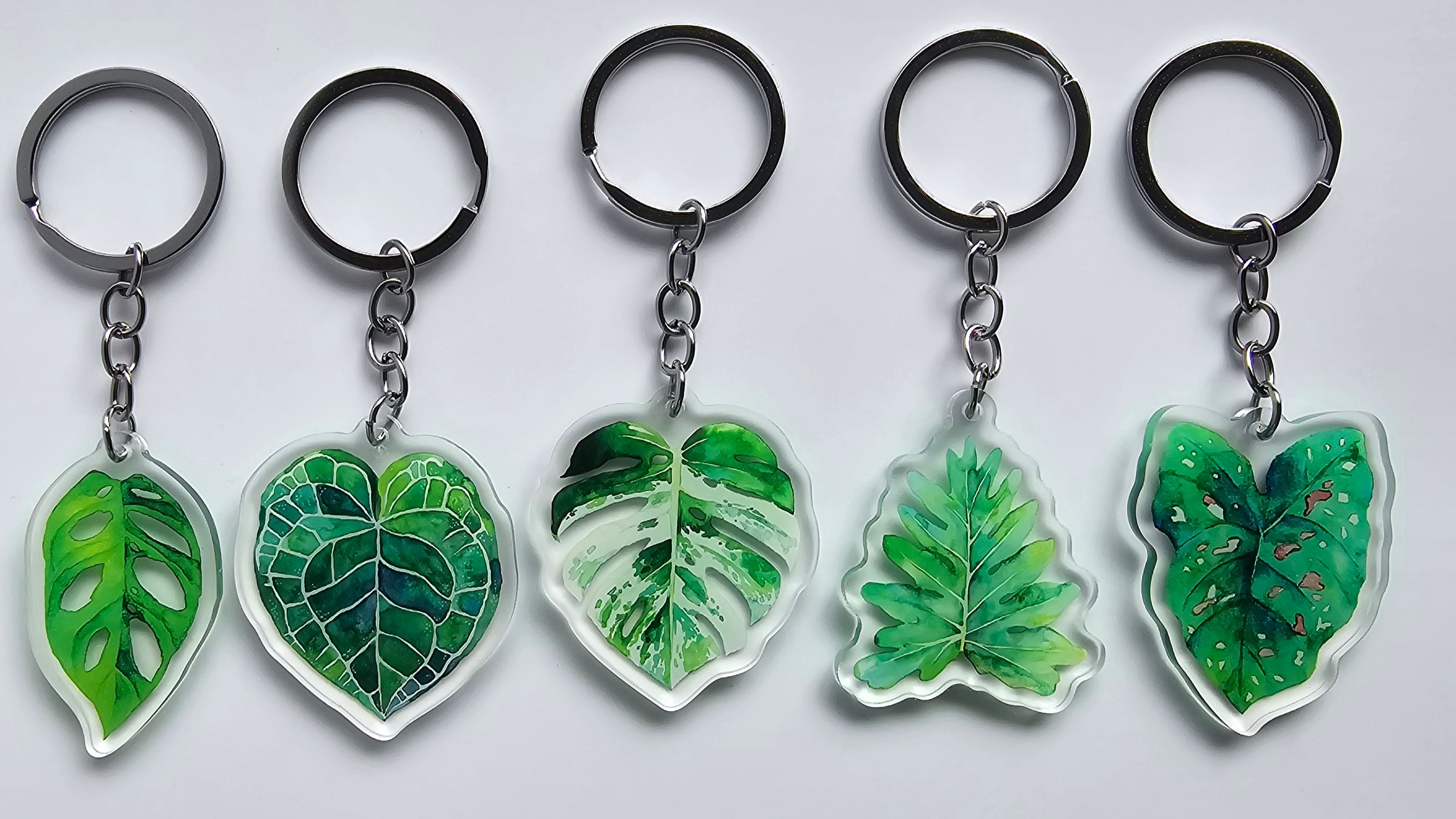 Houseplants' accessories, including keyrings & enamel pins