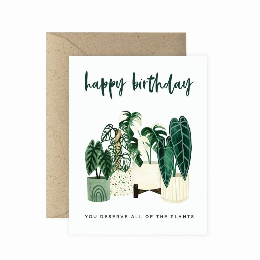 Rare Variegated houseplant birthday greeting cards