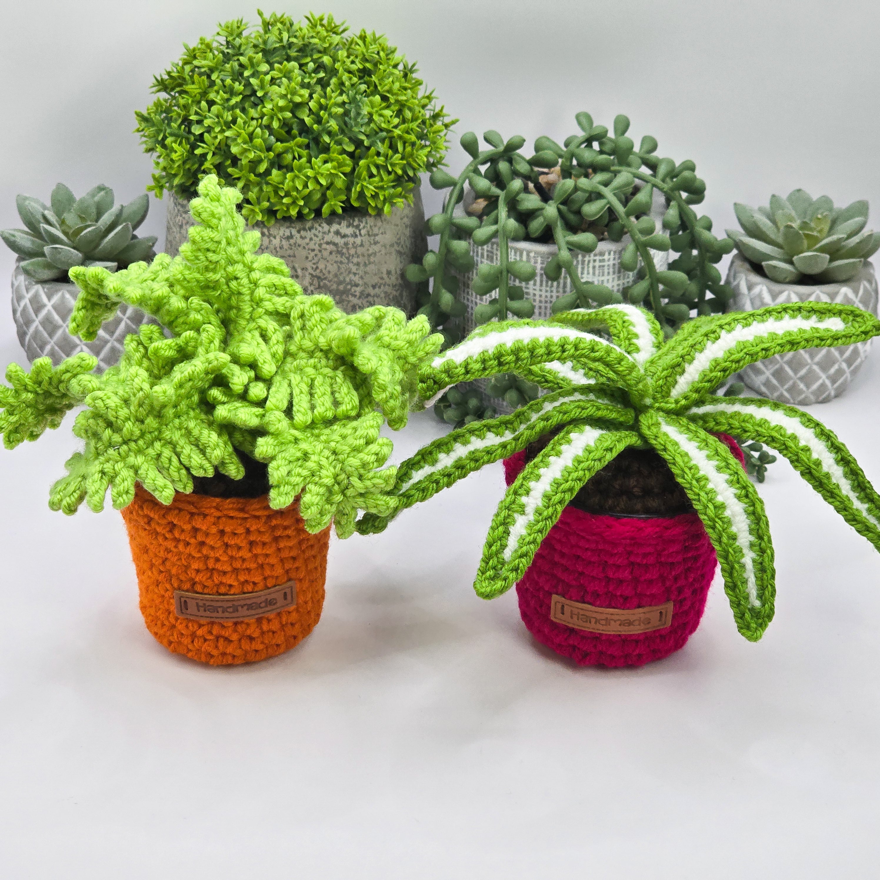 Crochet Plants