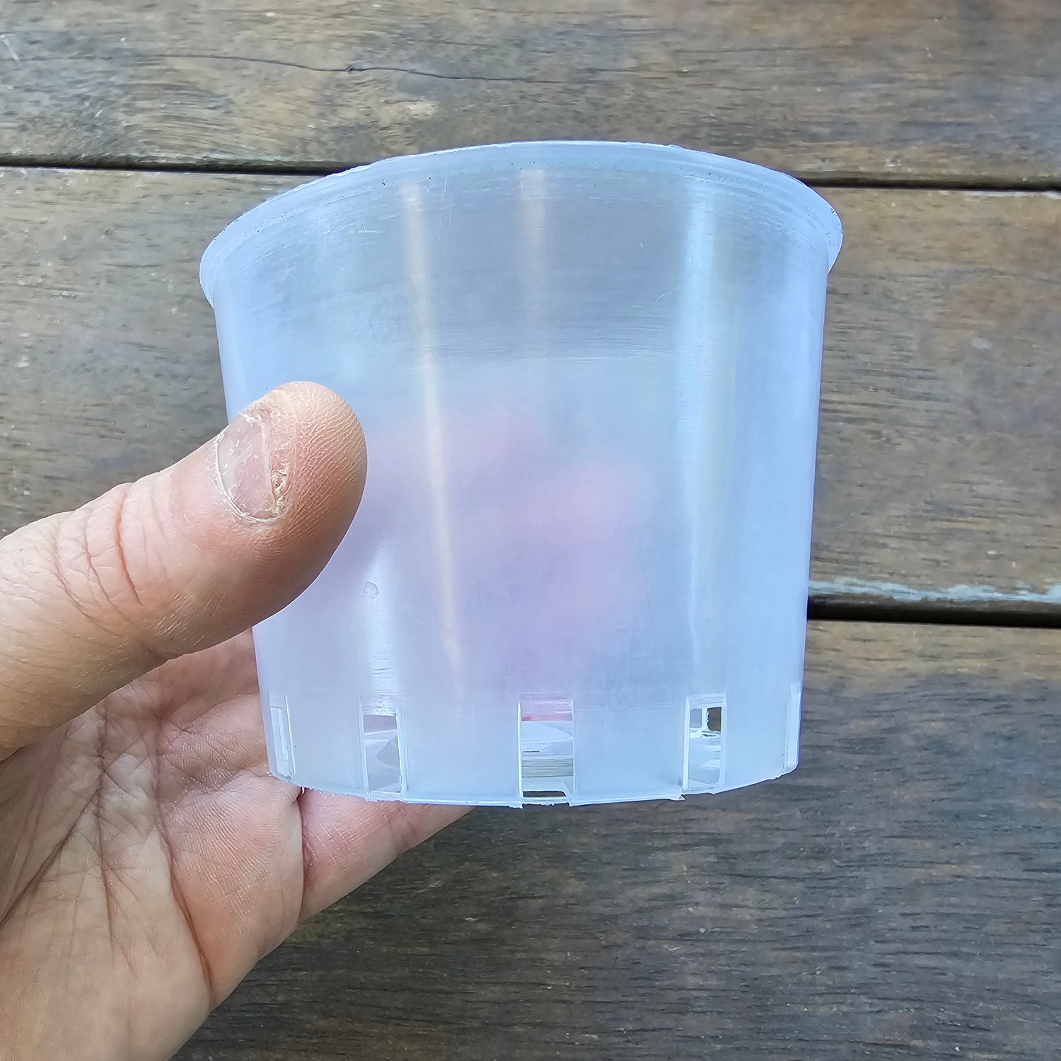 80mm Clear Plastic Squat Plant Pot