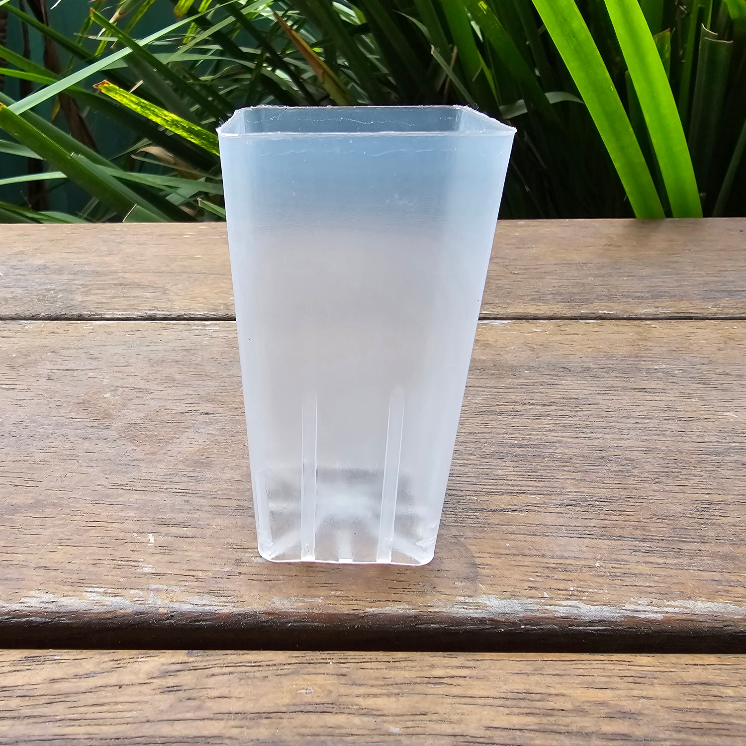 40mm Clear Plastic Seedling Tube Pot