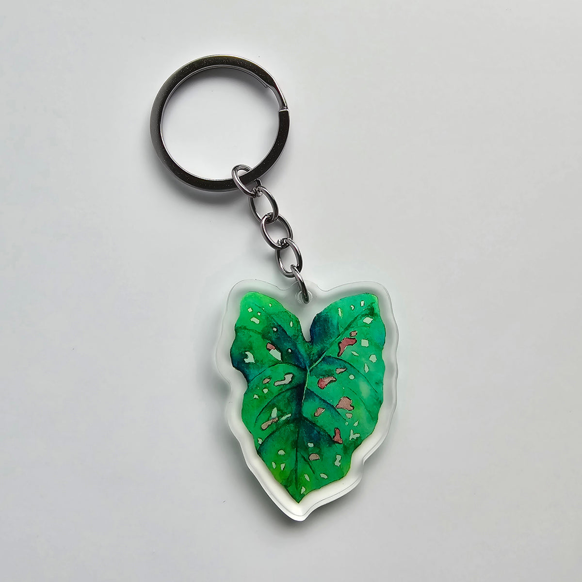 Acrylic caladium watercolour keyring