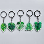 Acrylic watercolour houseplant keyrings