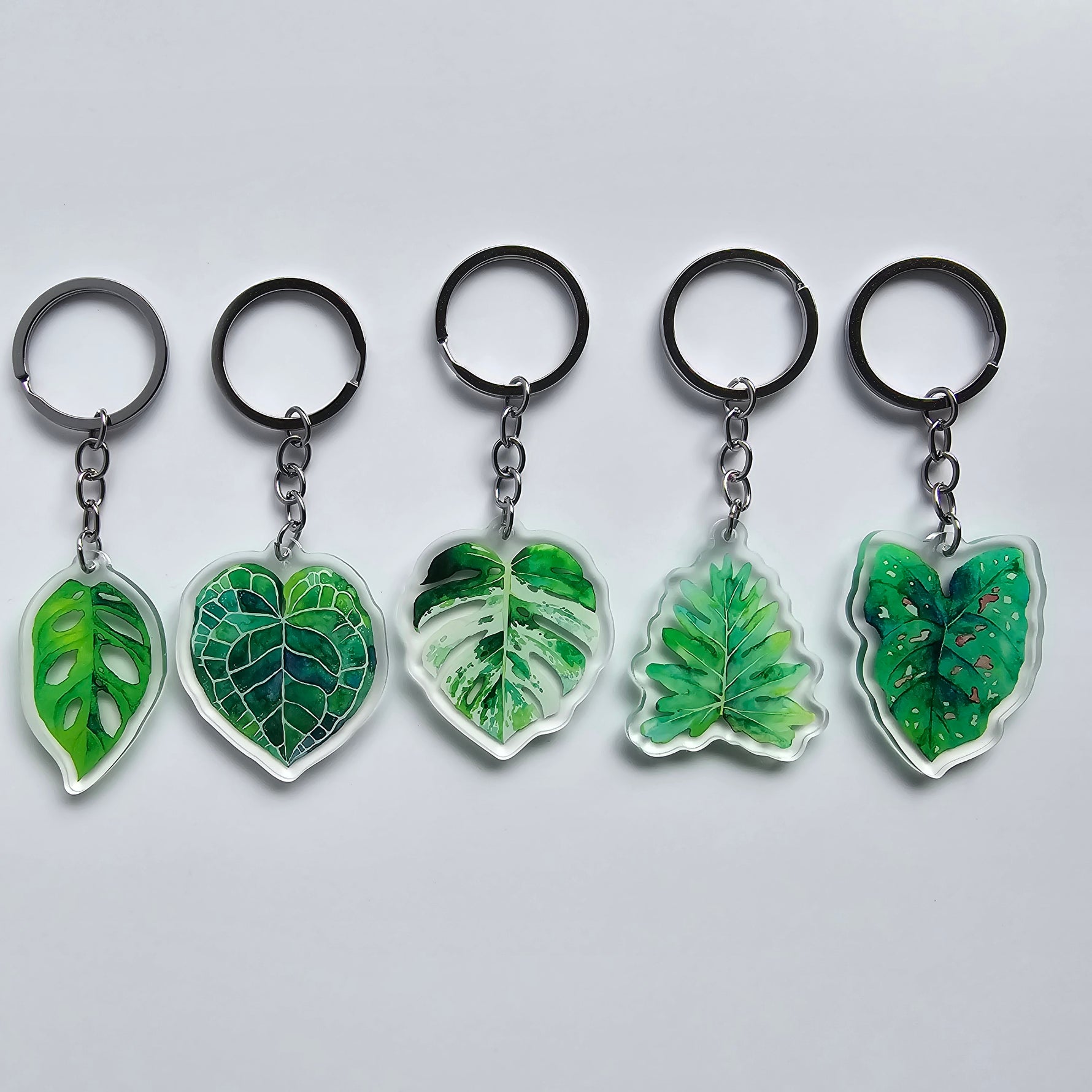 Acrylic watercolour houseplant keyrings