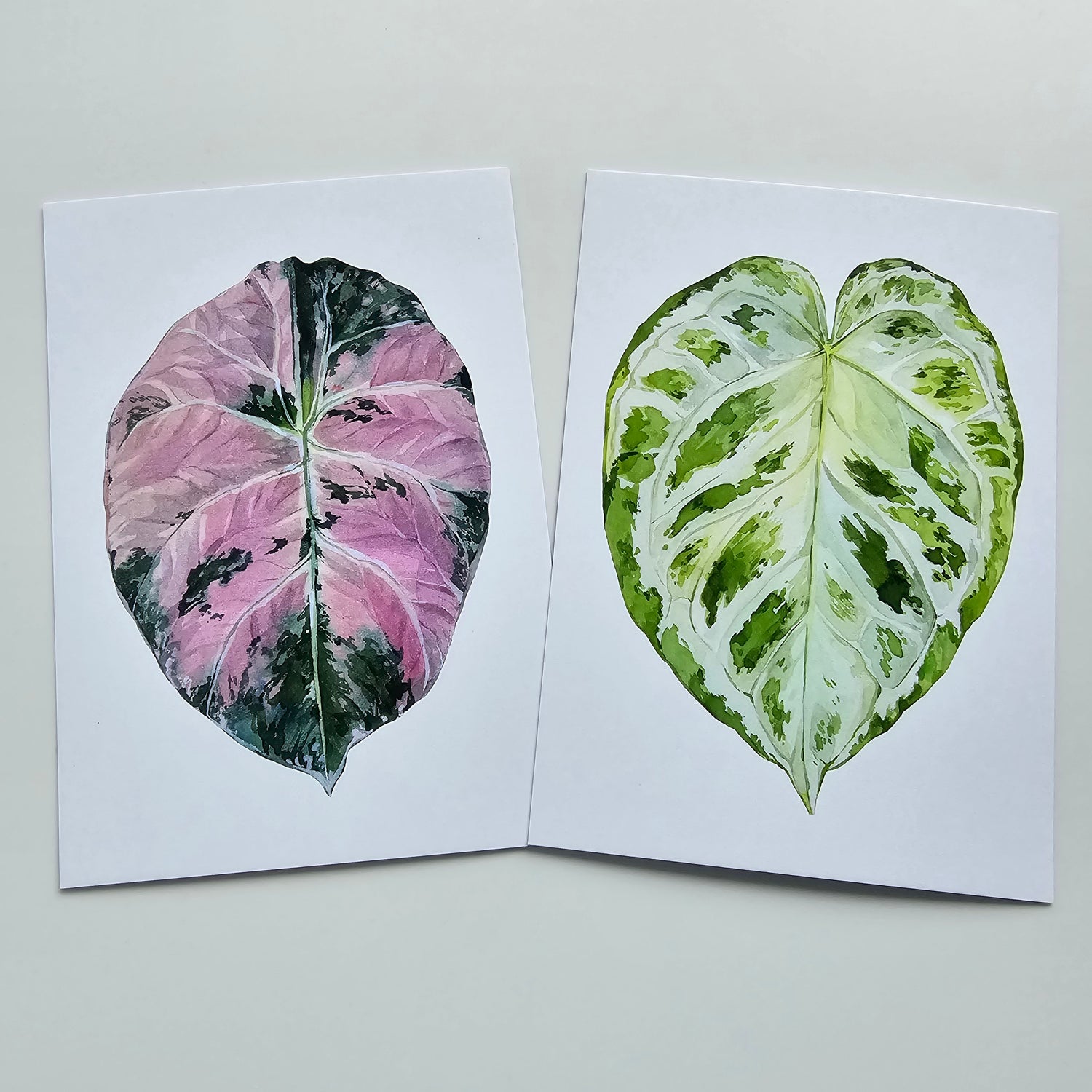 Watercolour Alocasia & Anthurium plant NoteCards