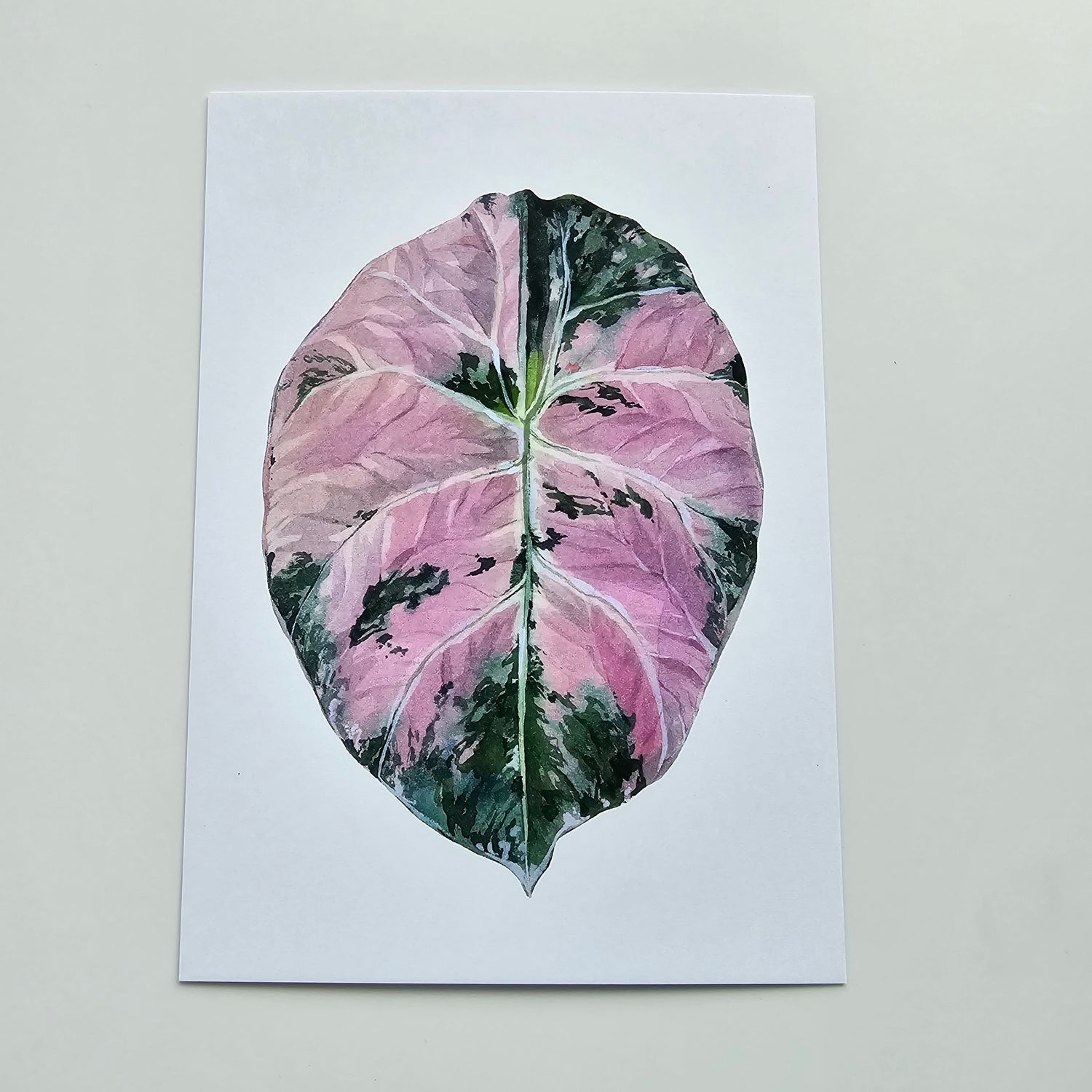 Watercolour Alocasia & Anthurium plant NoteCards