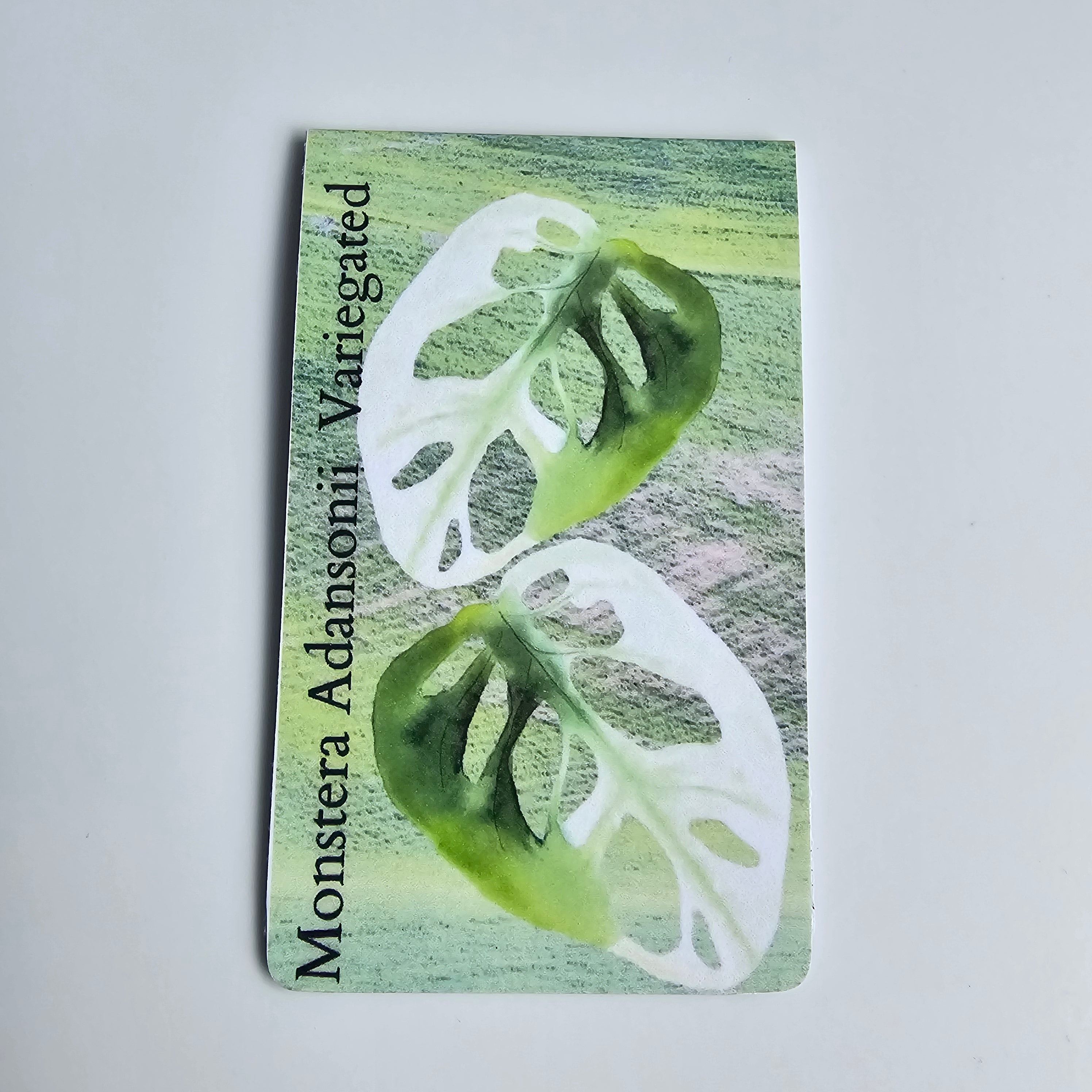 Watercolour Variegated Plants Magnetic Bookmarks