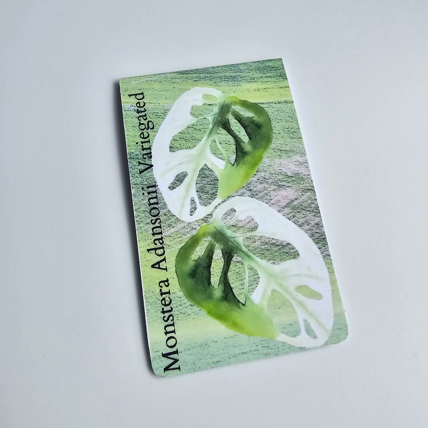 Watercolour Variegated Plants Magnetic Bookmarks