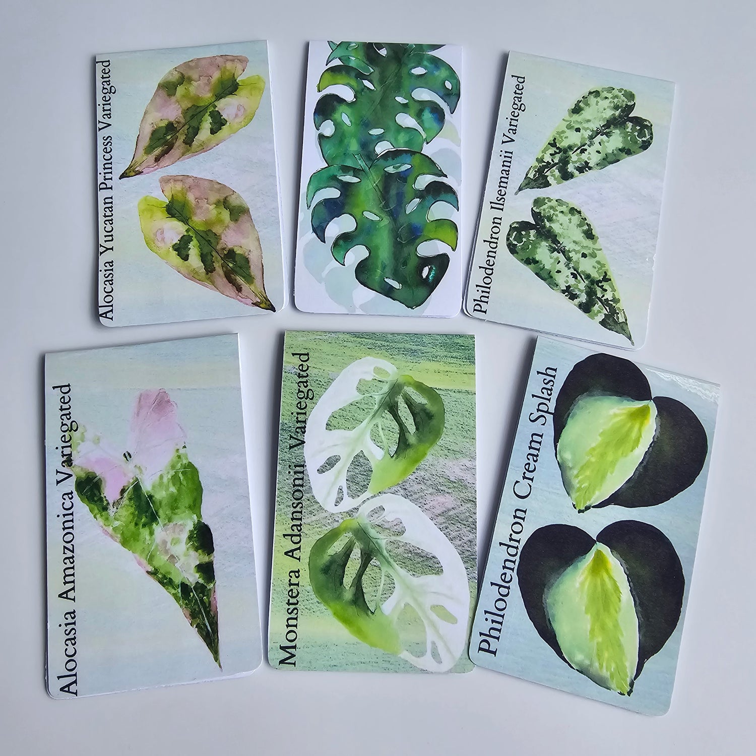 Watercolour Variegated Plants Magnetic Bookmarks