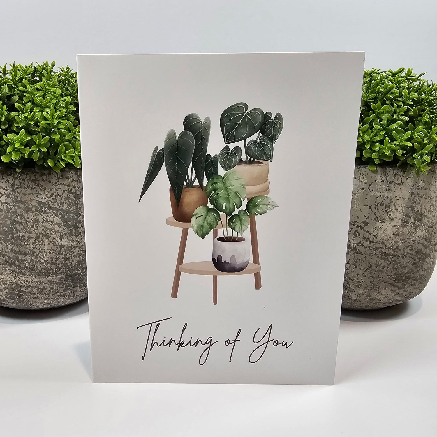 Houseplants Thinking of You Greeting Card