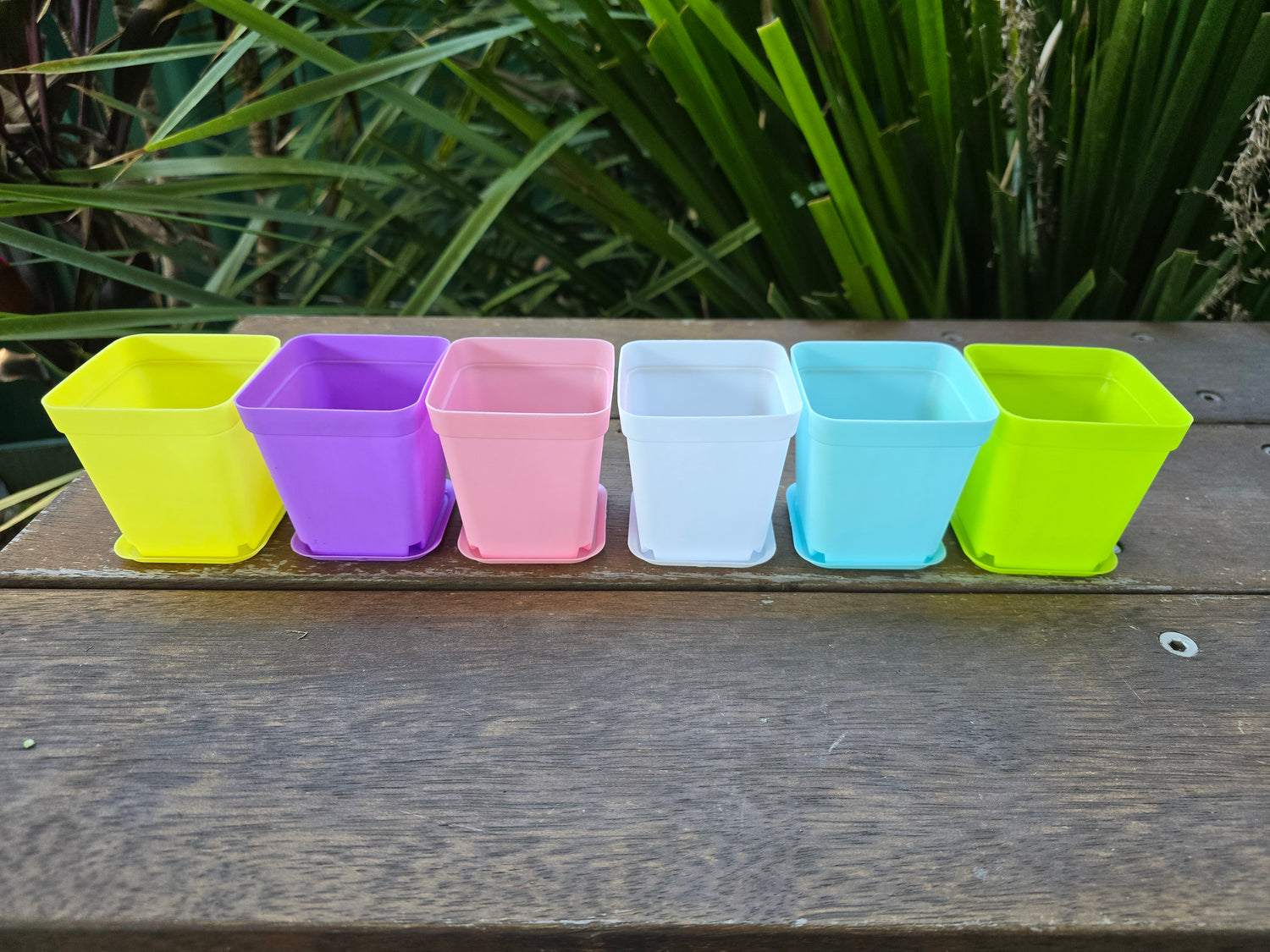 75mm Coloured plastic plant pots with saucers