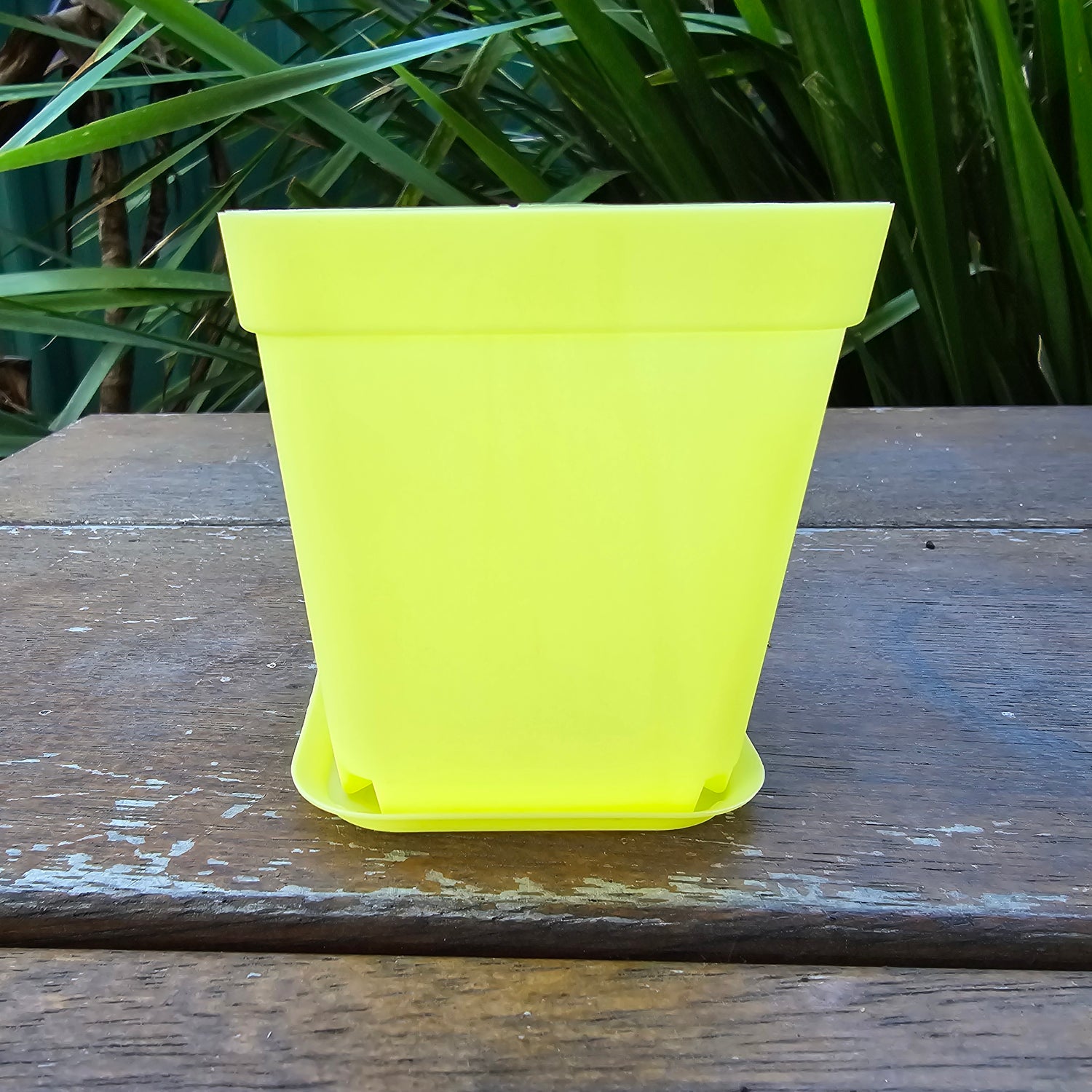 75mm Coloured plastic plant pots with saucers