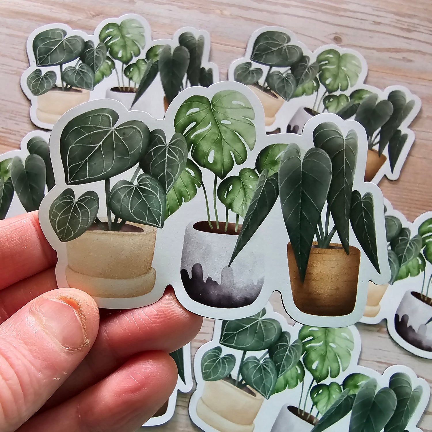 Potted Houseplants Trio Fridge Magnet