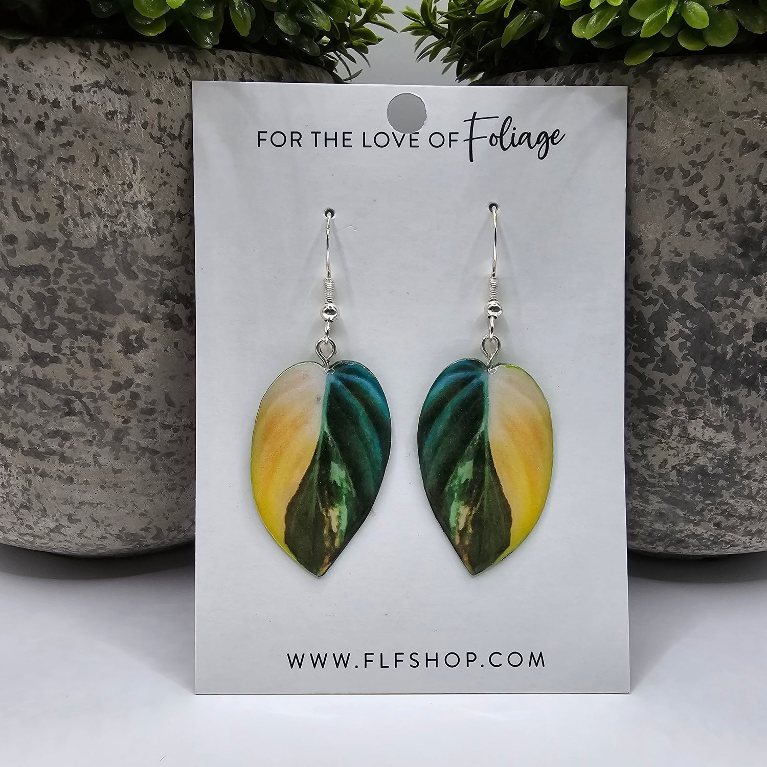 Philodendron Micans Variegated Plant Earrings