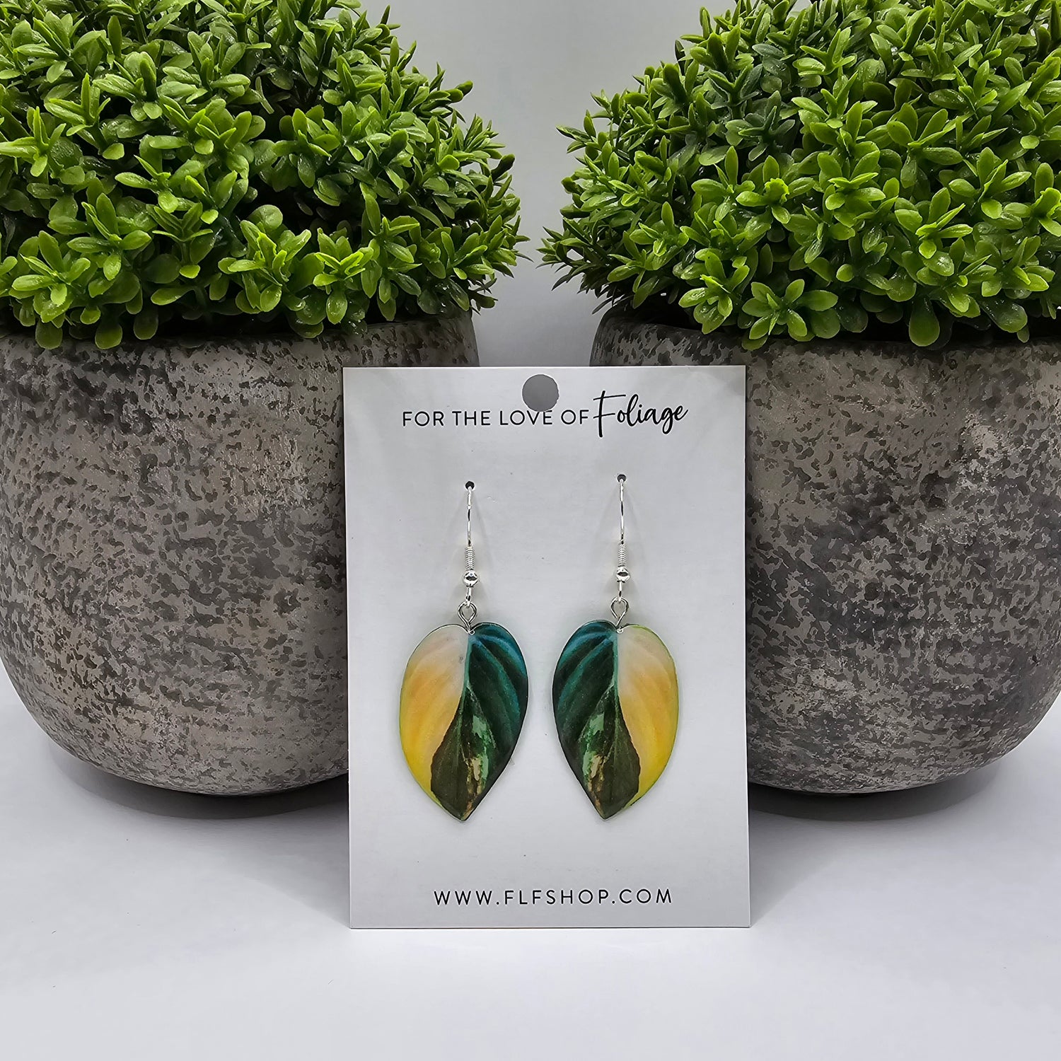 Philodendron Micans Variegated Plant Earrings