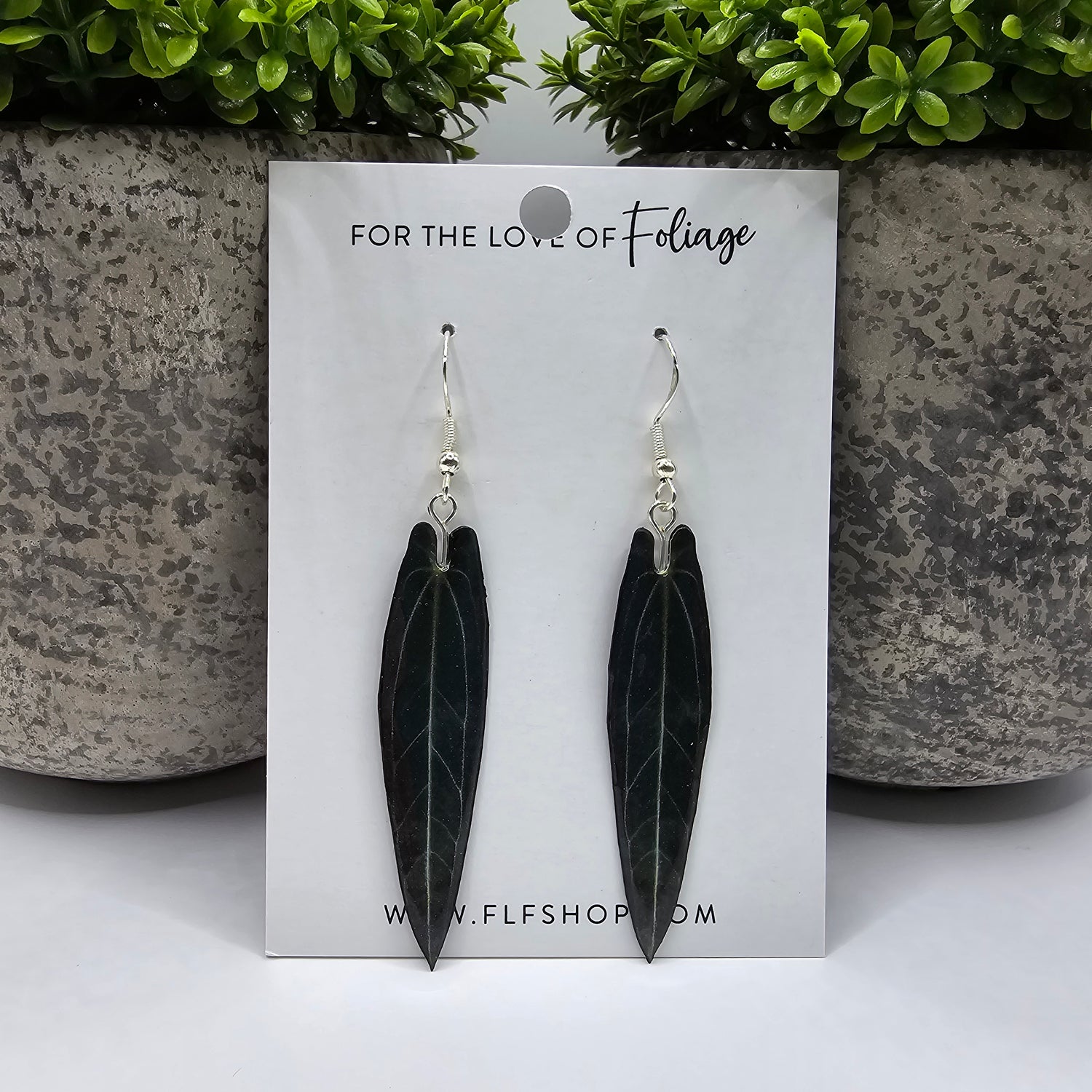 Anthurium Warocqueanum Houseplant Earrings