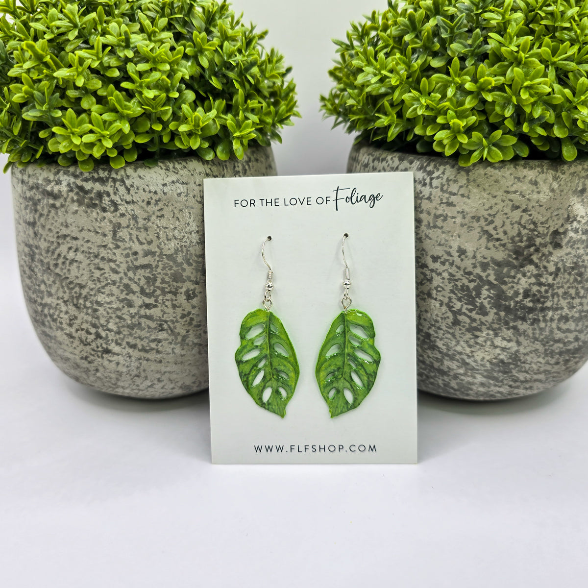 Monstera Adansonii swiss cheese houseplant earrings