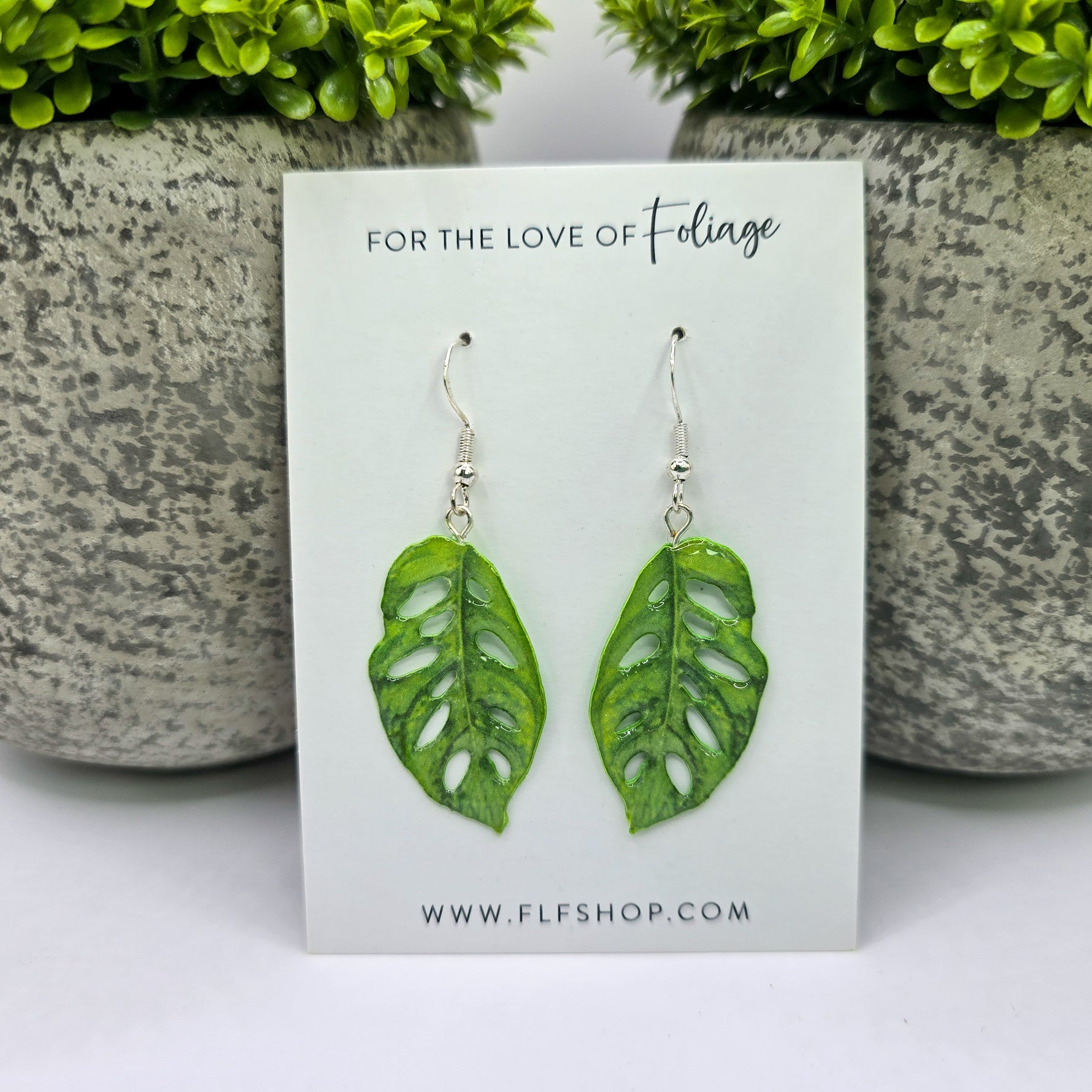 Monstera Adansonii swiss cheese houseplant earrings