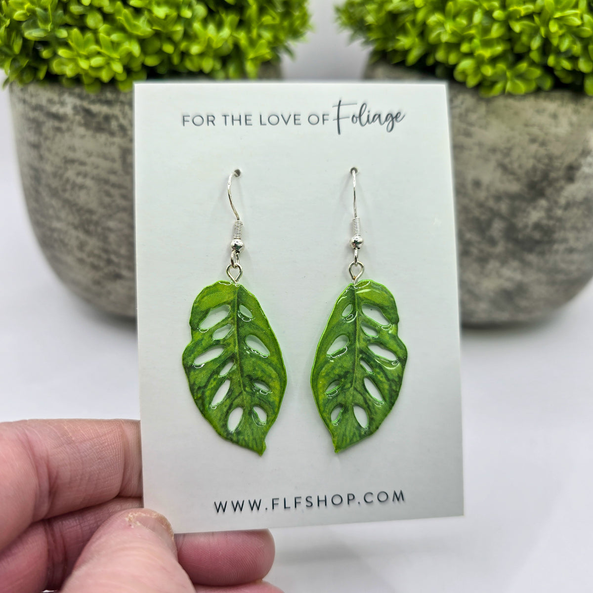 Monstera Adansonii swiss cheese houseplant earrings