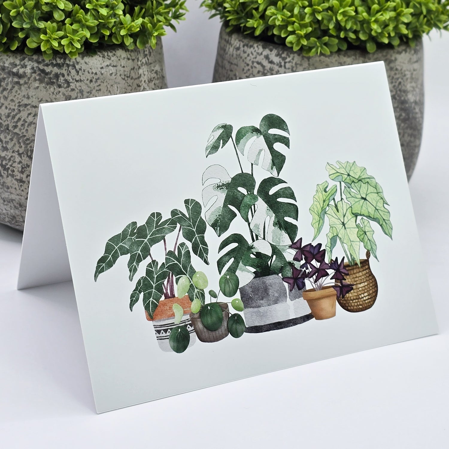 Potted Houseplants Watercolour Blank Greeting / Notecard