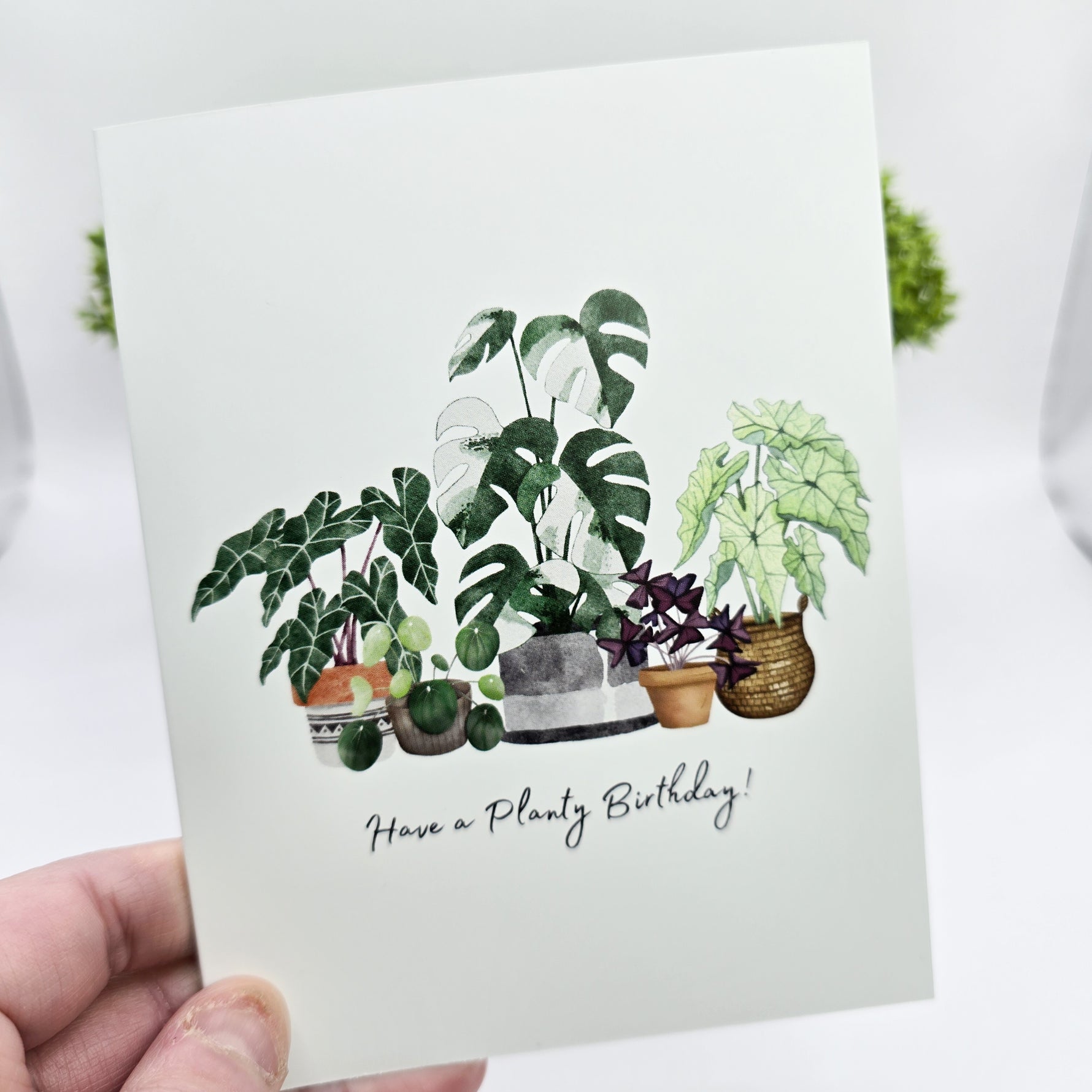 Have a planty birthday! Houseplants birthday greeting card