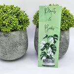 Monstera albo plants & books bookmark