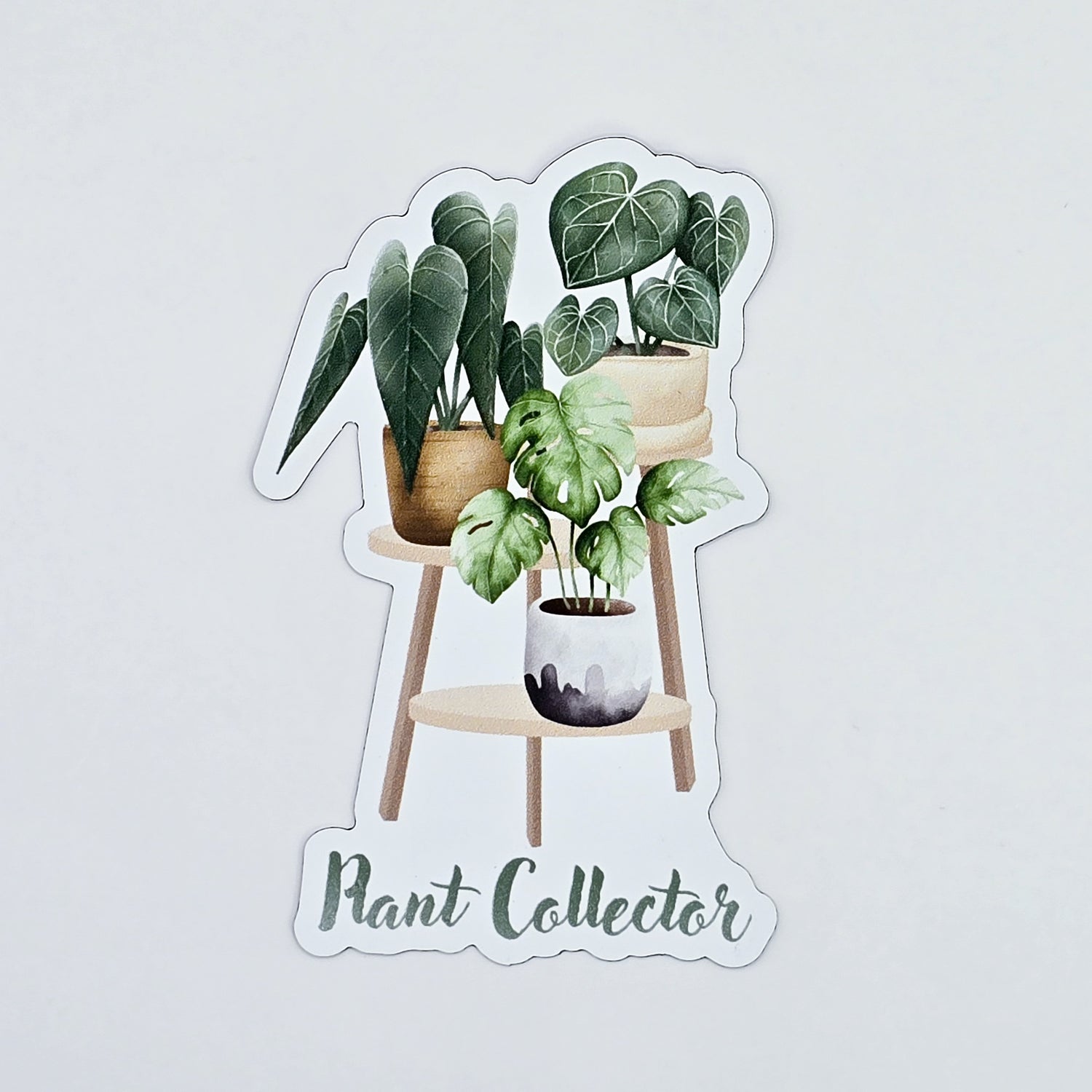 Plant Collector Houseplants Fridge Magnet