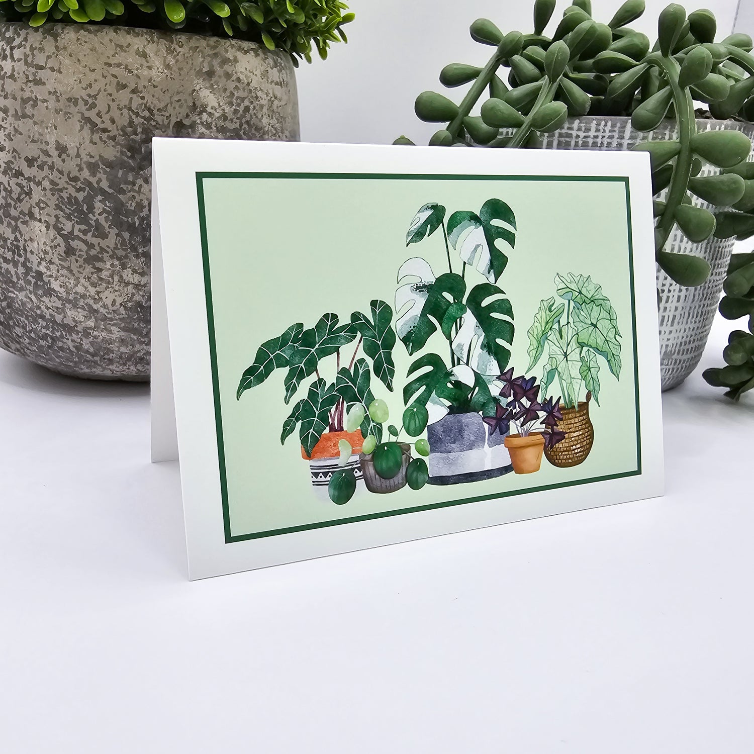 Potted Houseplants Blank Gift Card / Mini Greeting Card