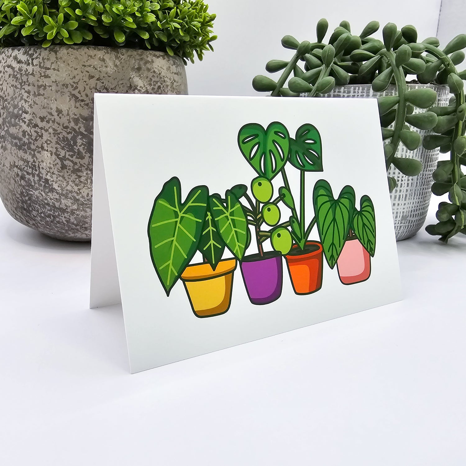 Bright Potted Houseplants Blank Gift Card / Mini Greeting Card