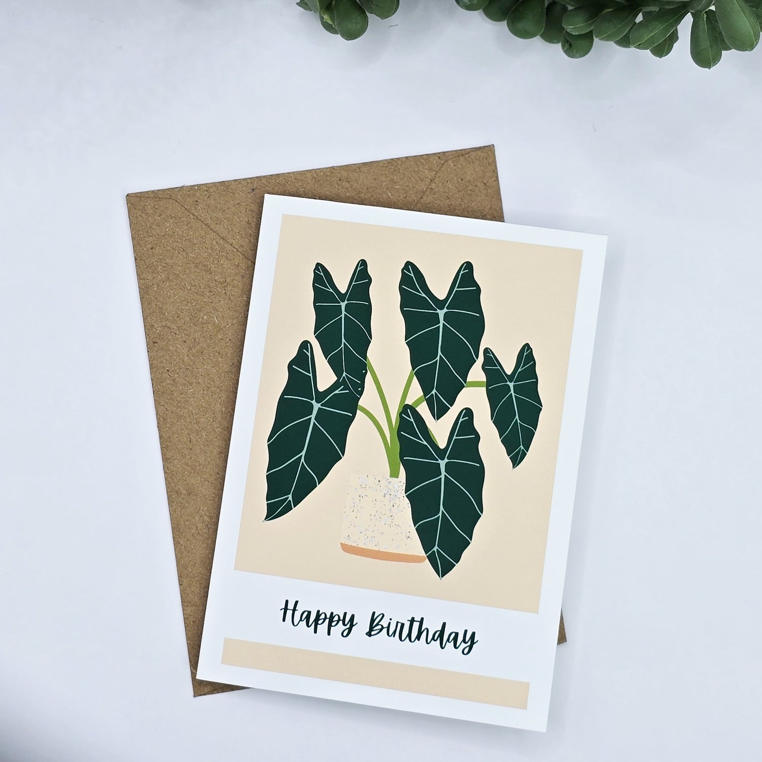 Alocasia Frydek Happy Birthday Gift card / Mini Greeting Card