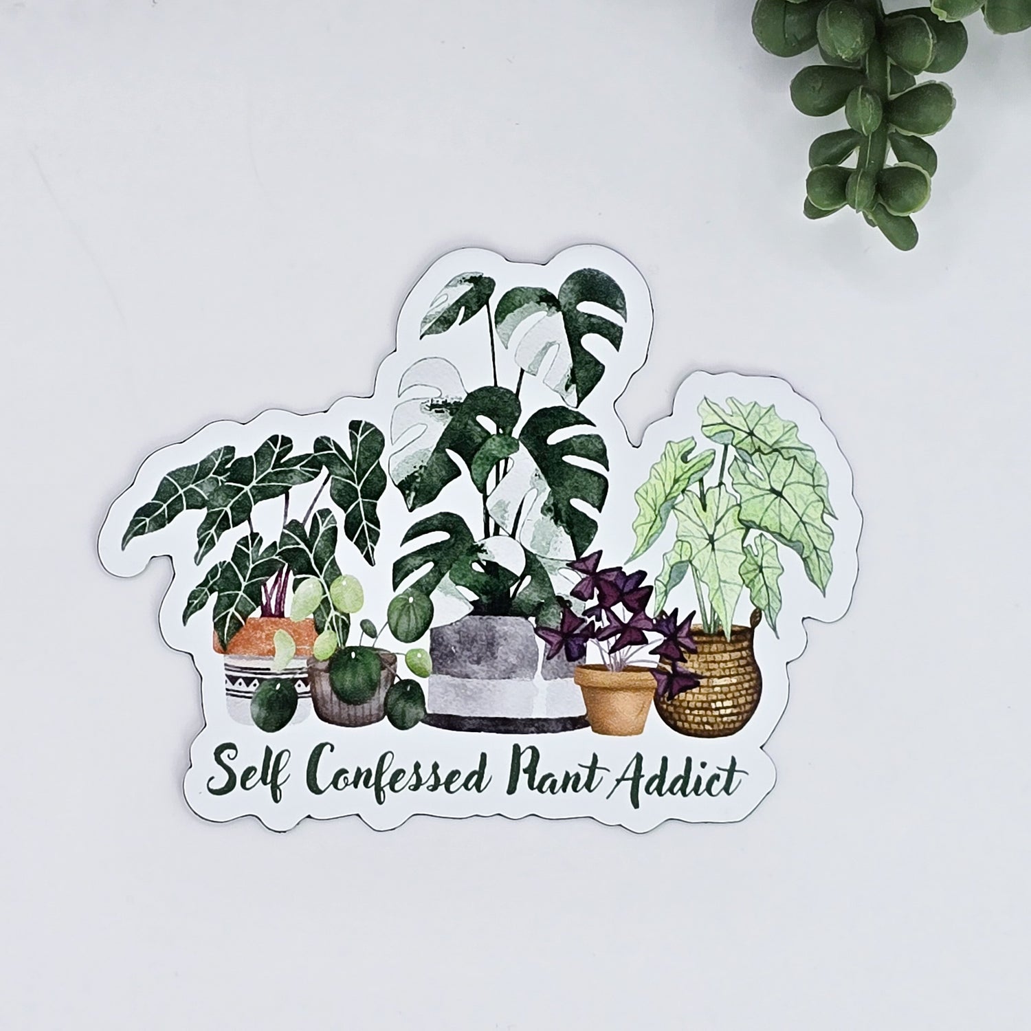 Self confessed Plant Addict Fridge Magnet CHEAP!!