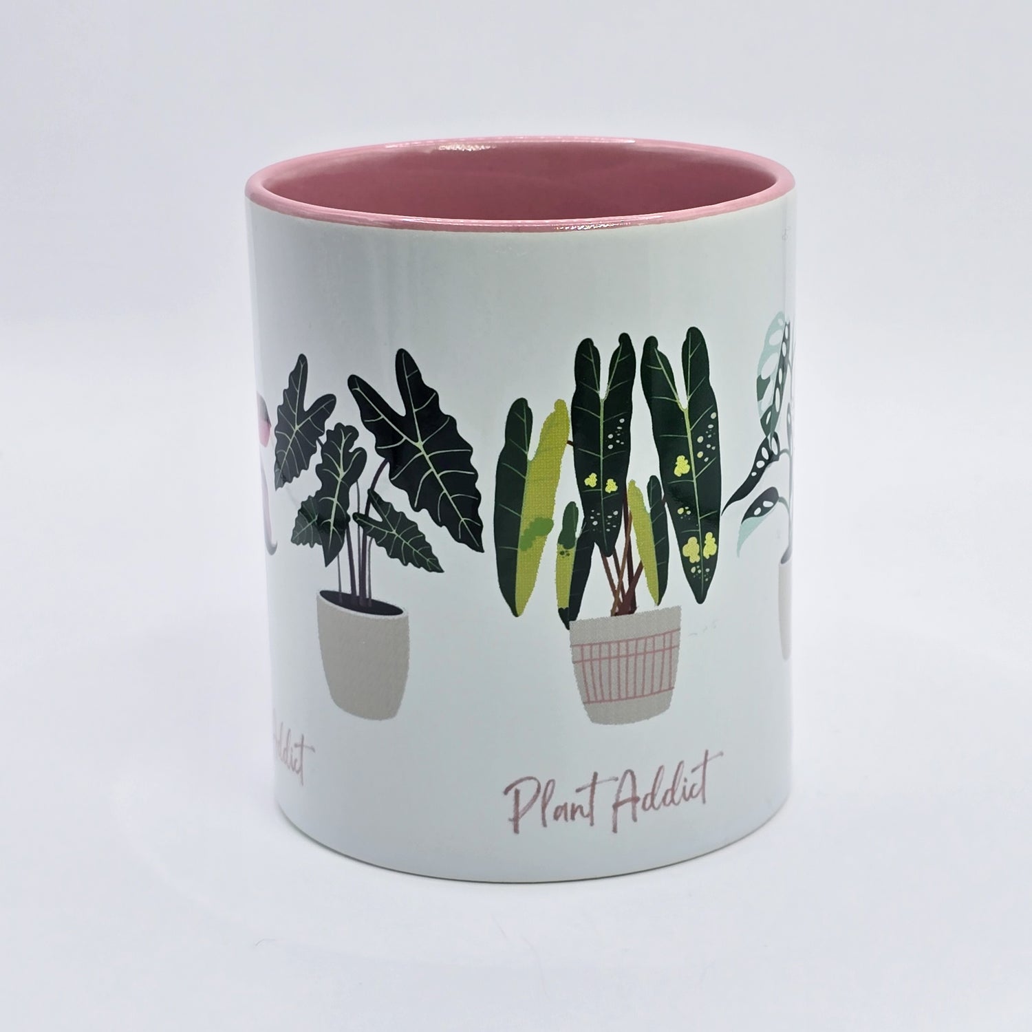 Plant Addict Variegated Plants Pink Inner & handle 11oz Ceramic Mug