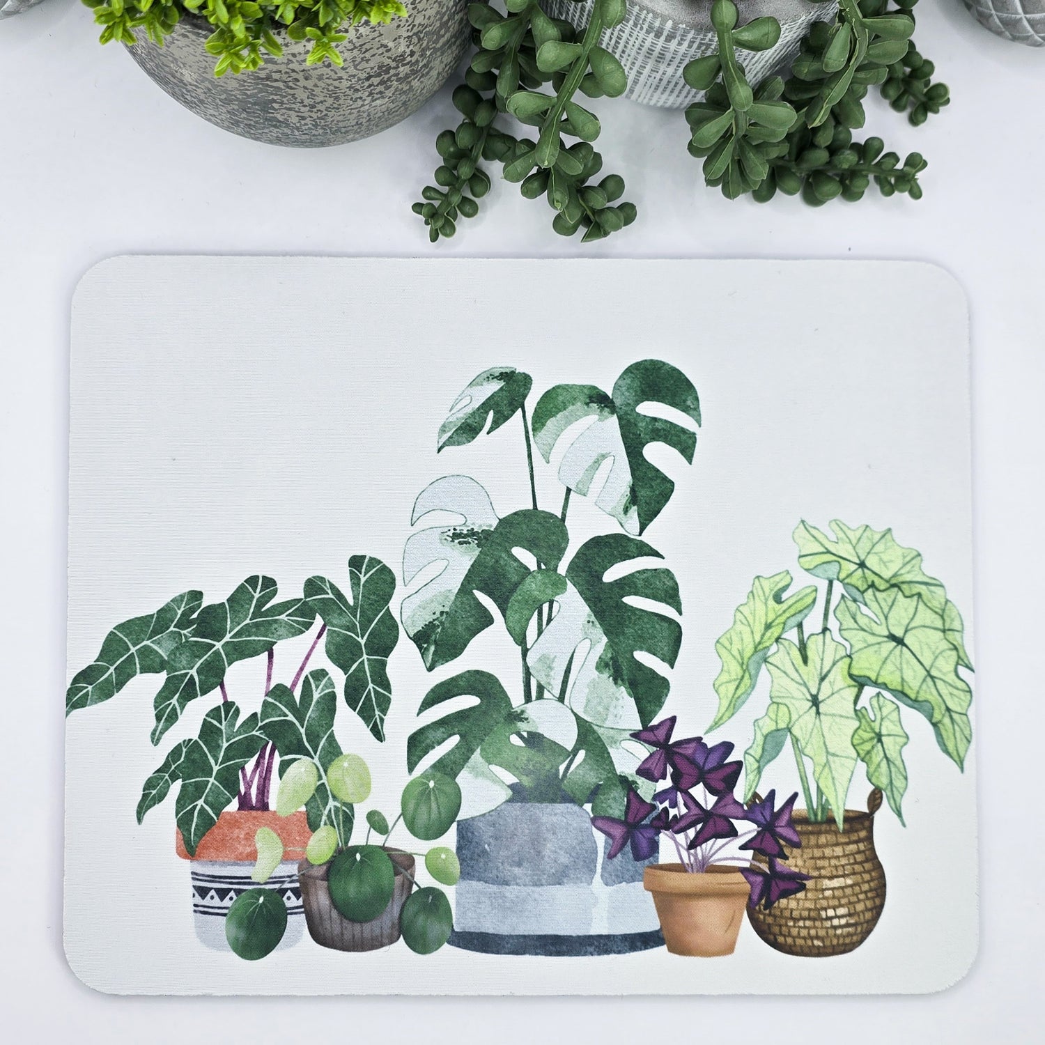 Rare Houseplants Mousepad