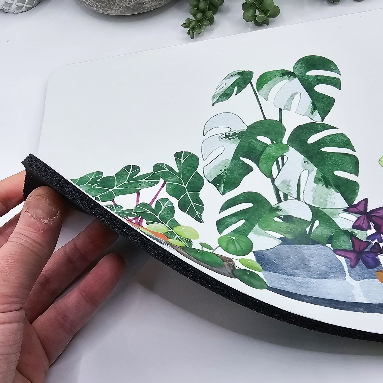 Rare Houseplants Mousepad