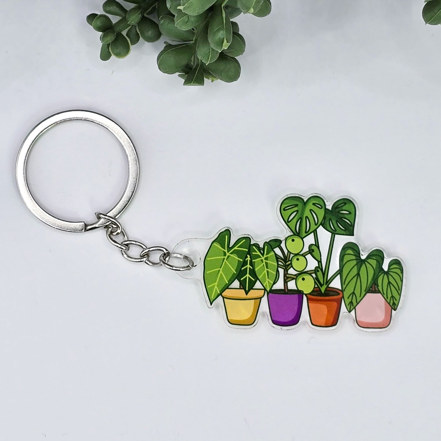 Bright Potted Rare Houseplants Acrylic Keyring