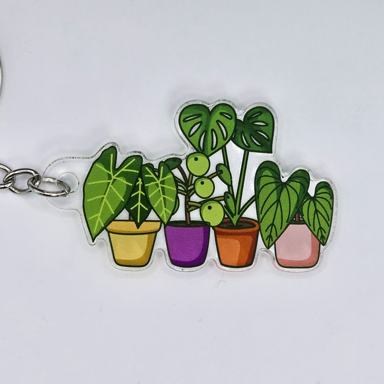 Bright Potted Rare Houseplants Acrylic Keyring