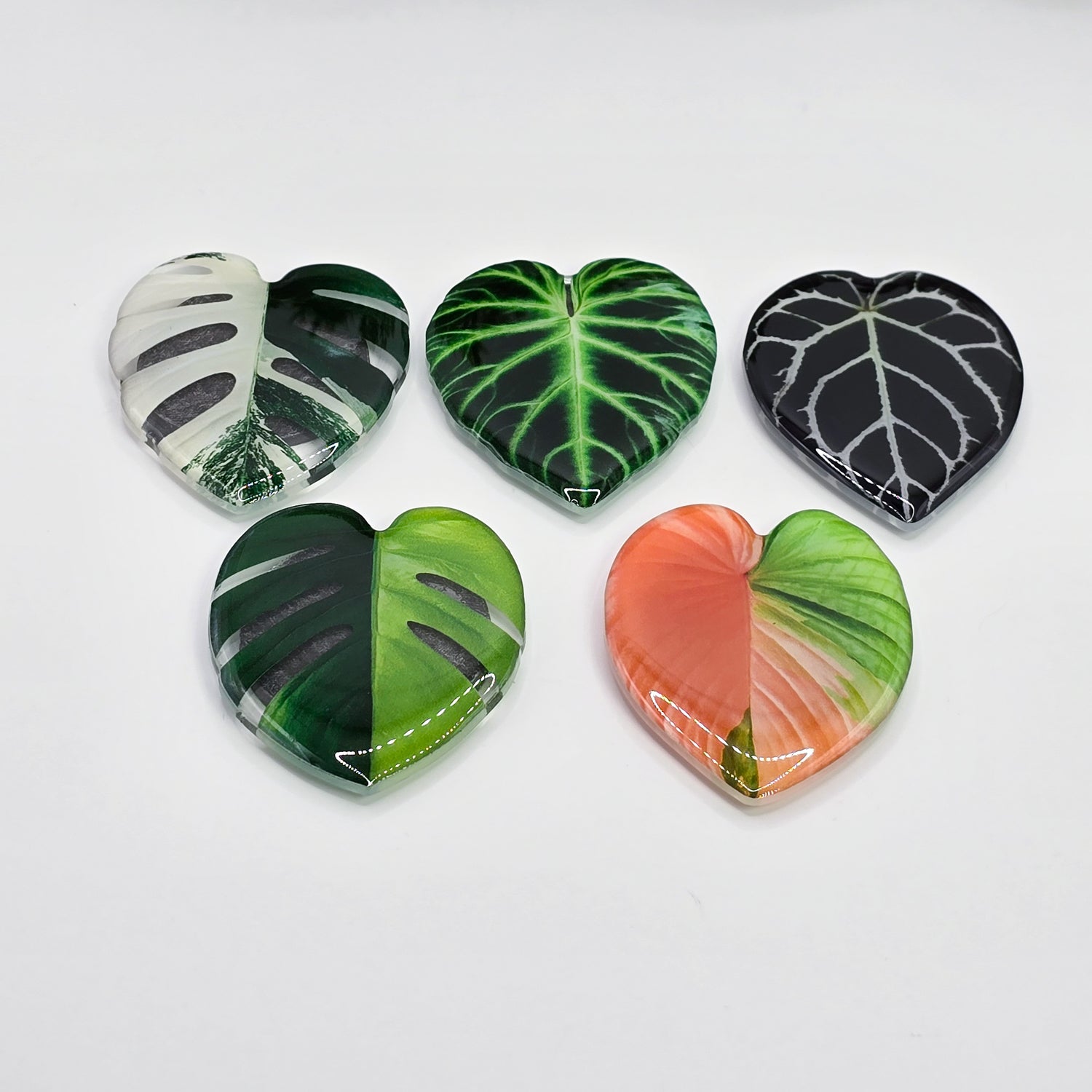 Rare Variegated Leaf Fridge Magnets