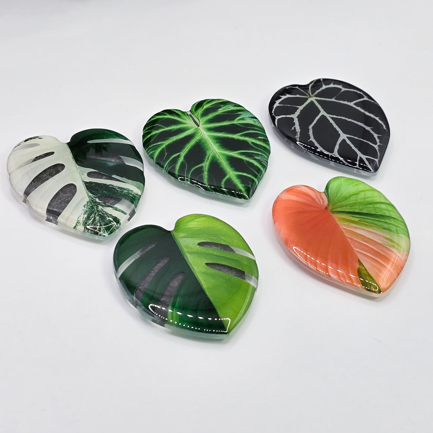 Rare Variegated Leaf Fridge Magnets