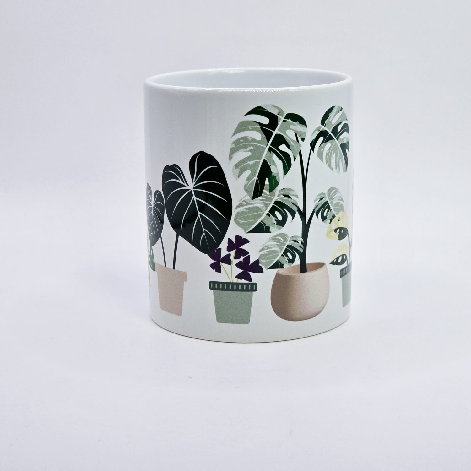 Variegated Indoor Houseplants 11oz Ceramic Mug