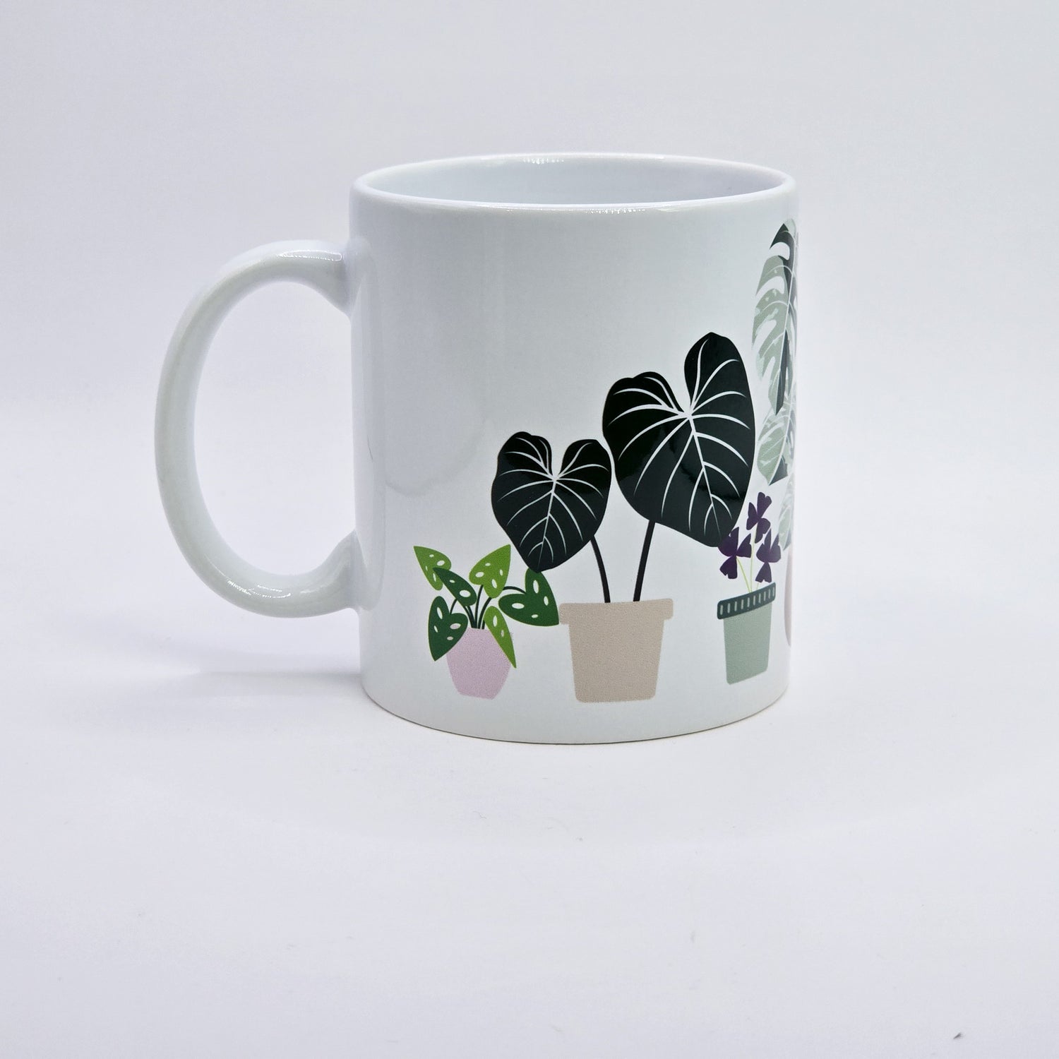 Variegated Indoor Houseplants 11oz Ceramic Mug