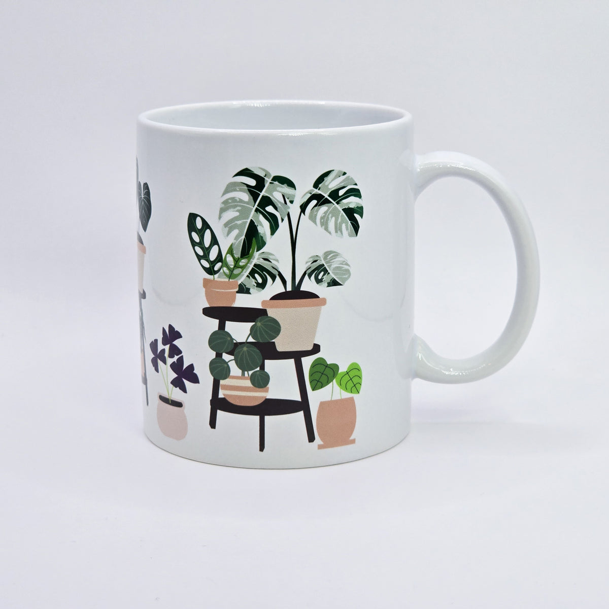 Rare plants on shelves ceramic mug