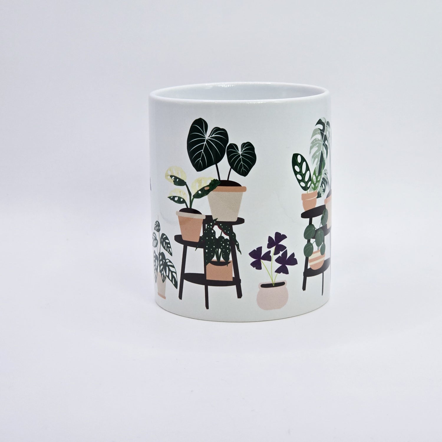 Rare Houseplants on a Shelf 11oz Ceramic Mug