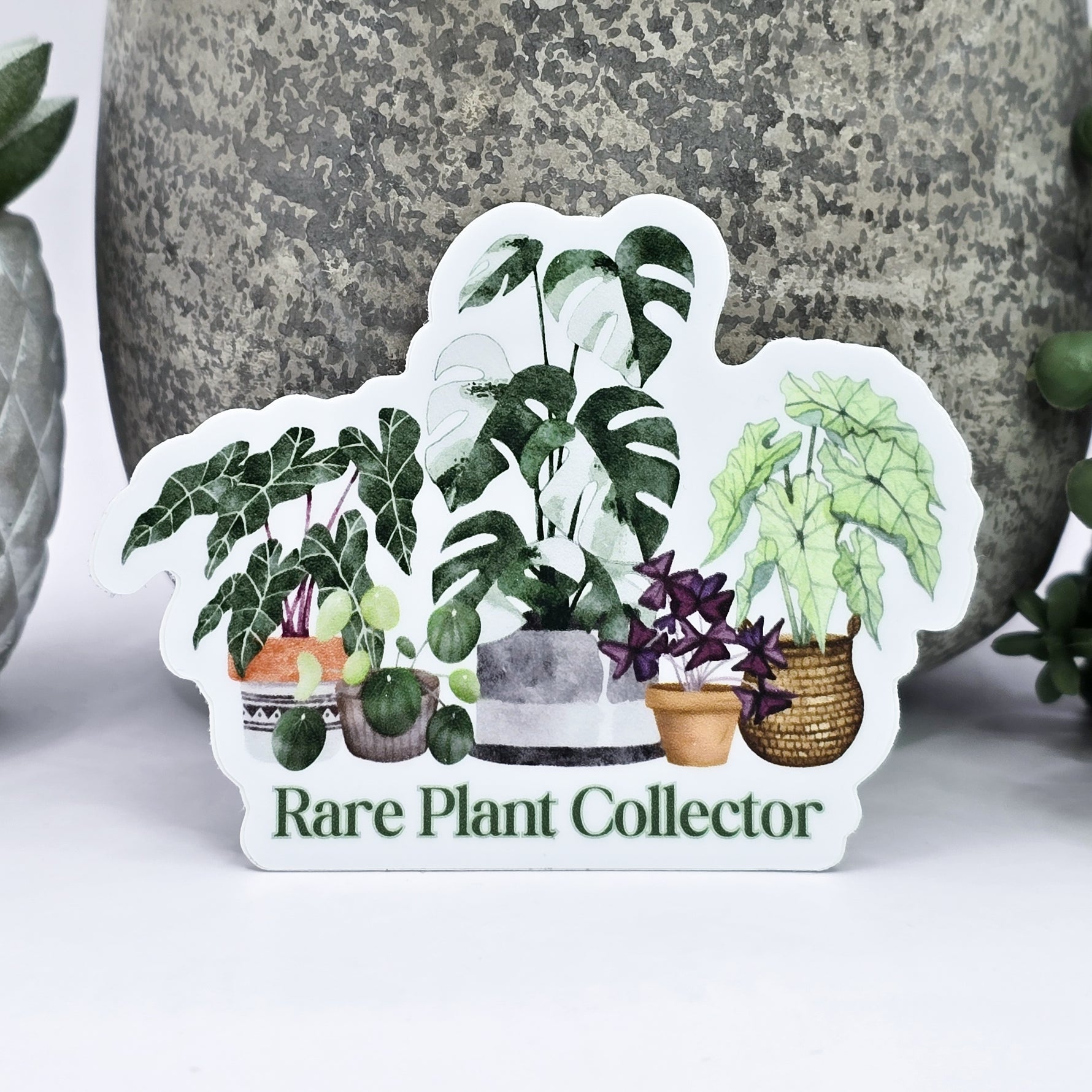 Rare plant collector houseplant vinyl sticker