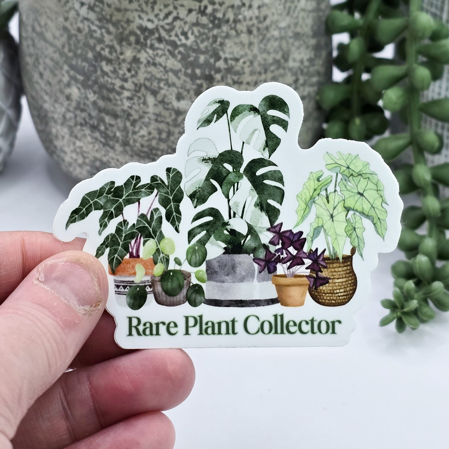 Rare Plant Collector Houseplant Vinyl Sticker