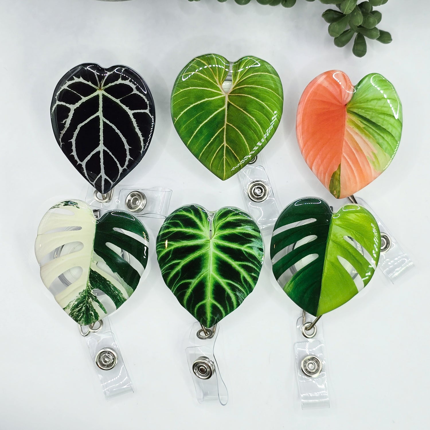 Rare Houseplant Leaf Acrylic I.D Holder Clips - 6 to choose from